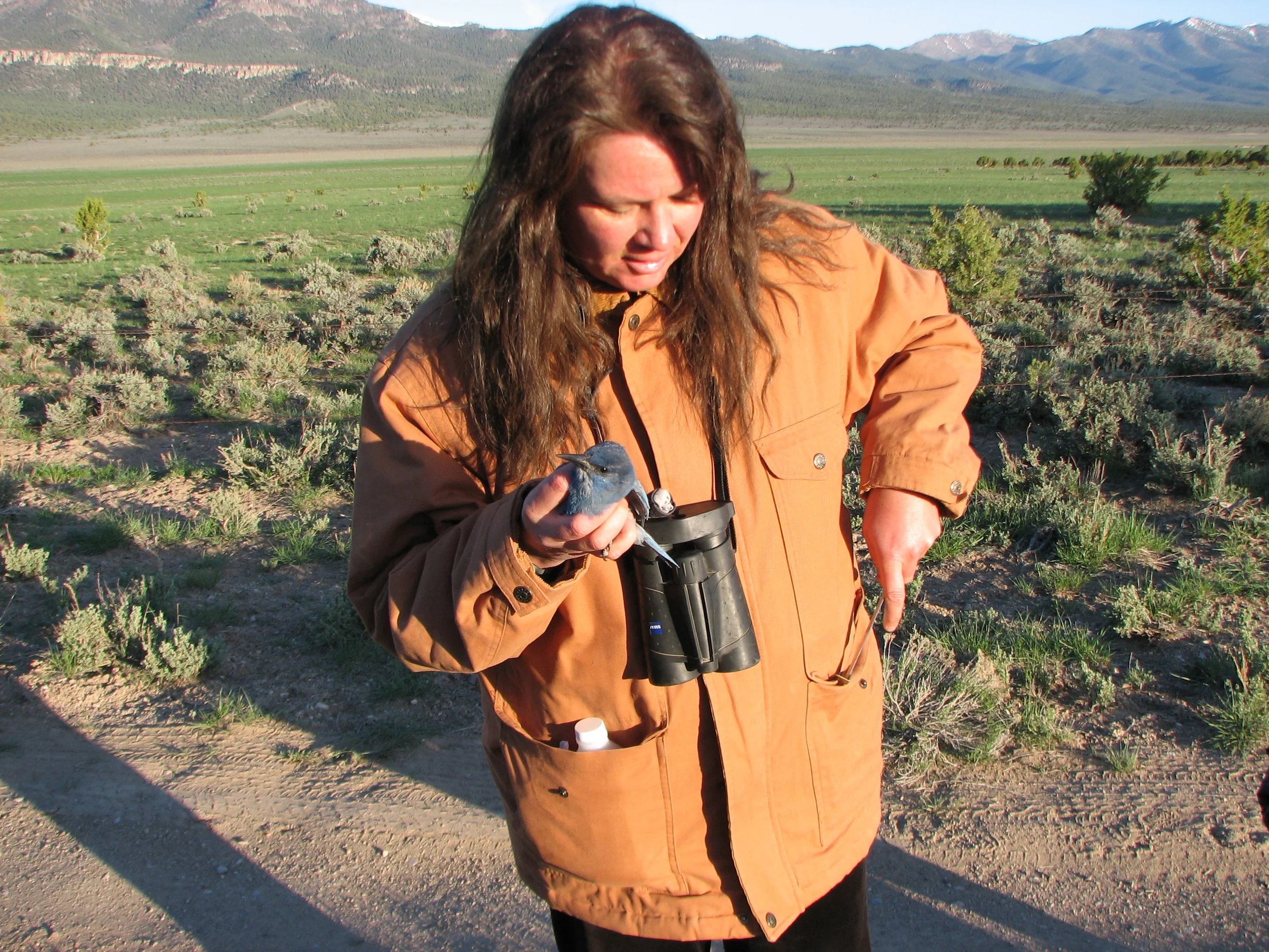 Elisabeth Ammon, Ph.D. - Executive Director