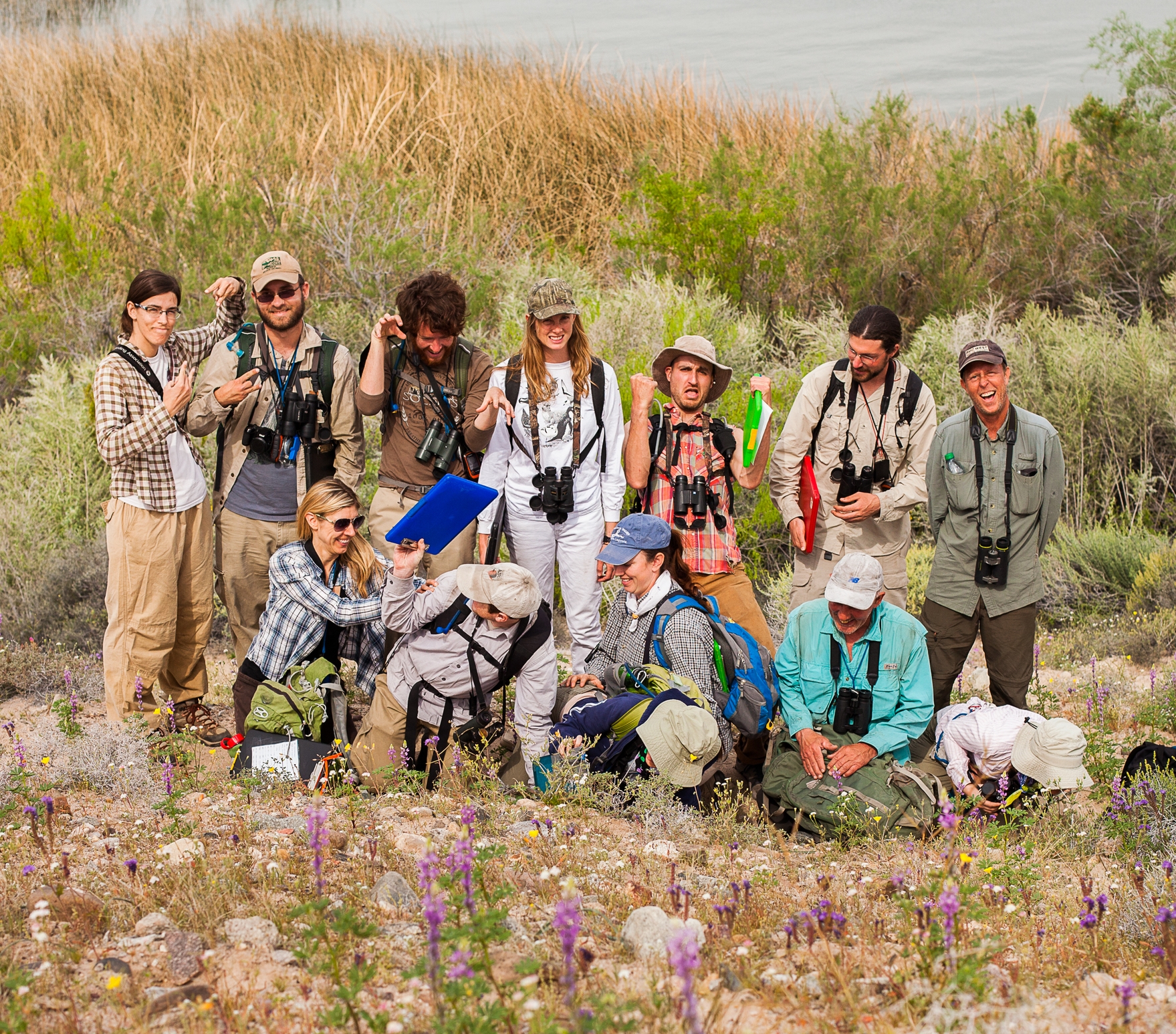 Lower Colorado River Riparian Surveys