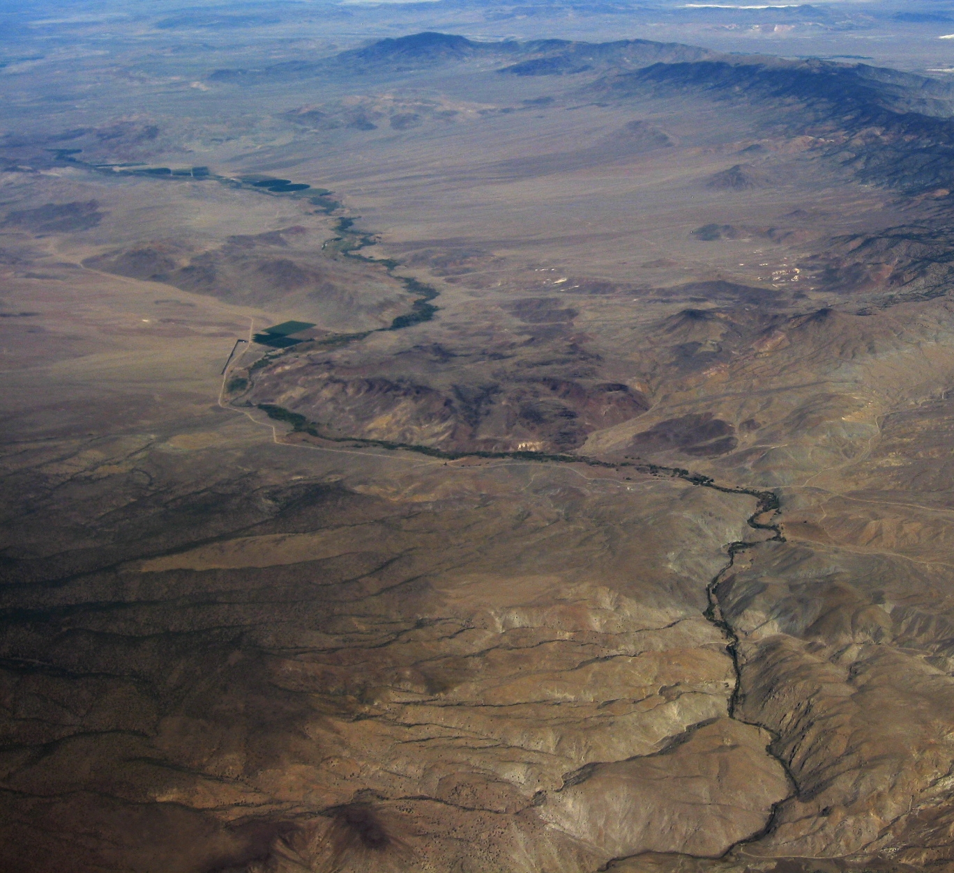 Walker River Riparian Bird Surveys