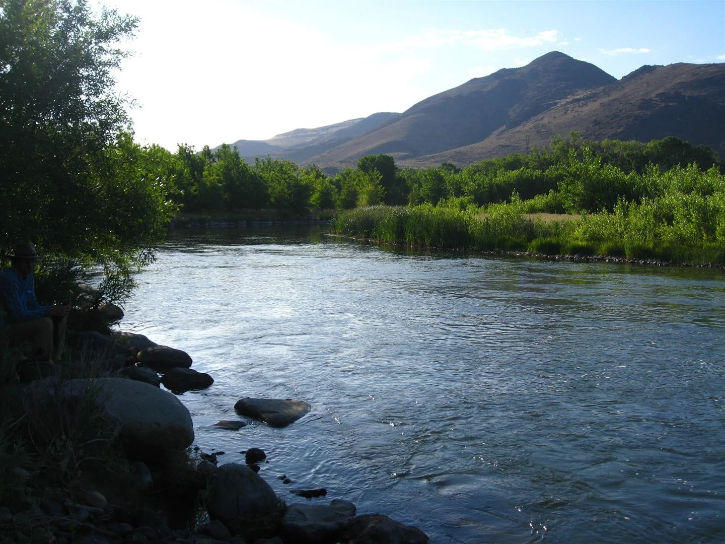 IMG_1374 (Large).JPG