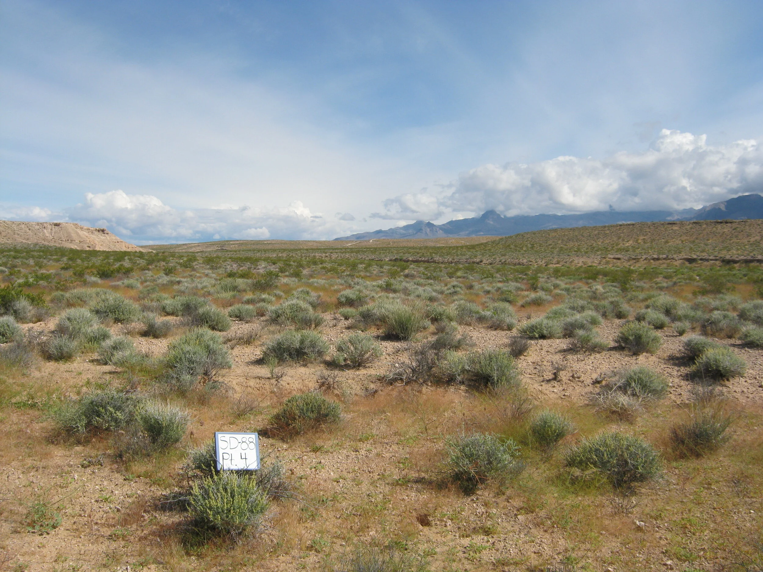 SD-88 #4, R Rubenthaler; 20110510.JPG