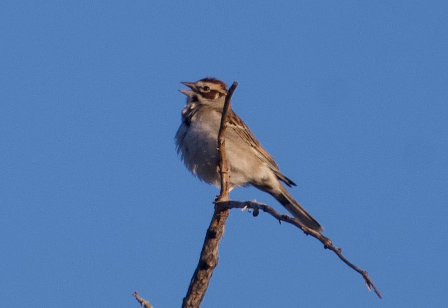 LASP_NC8_20210624 - 2.jpeg