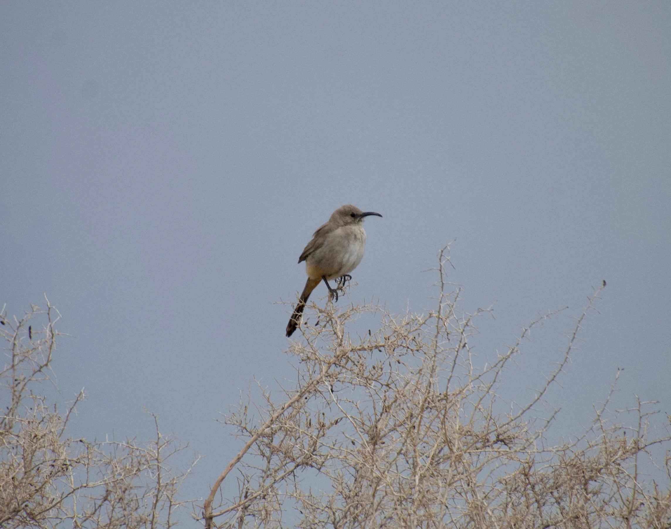 LCTH_Carson_20210325 - 1.jpeg