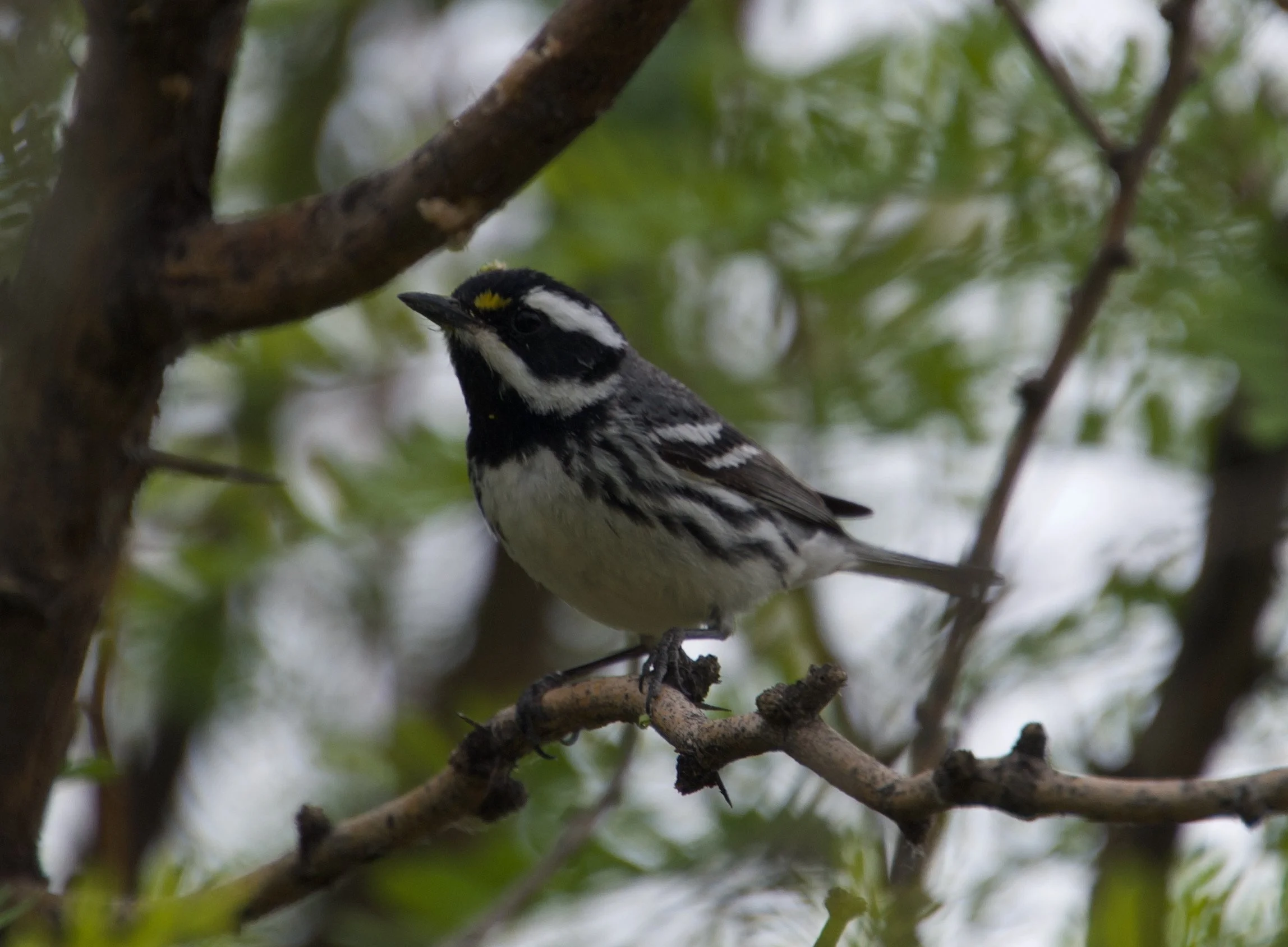 BTYW_Pabco_20210426 - 3.jpeg