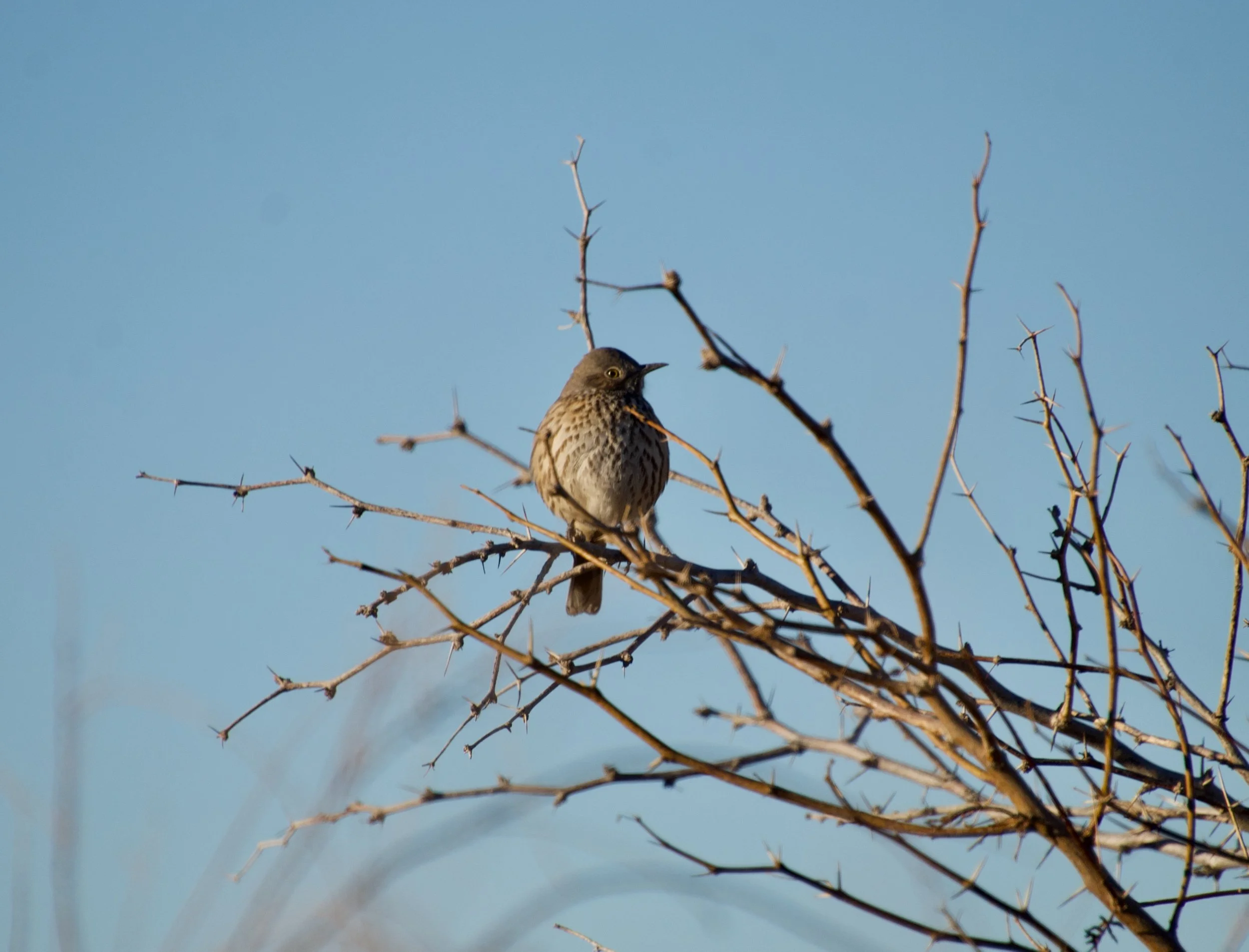 SATH_LVWASH_20210204_ - 5.jpeg