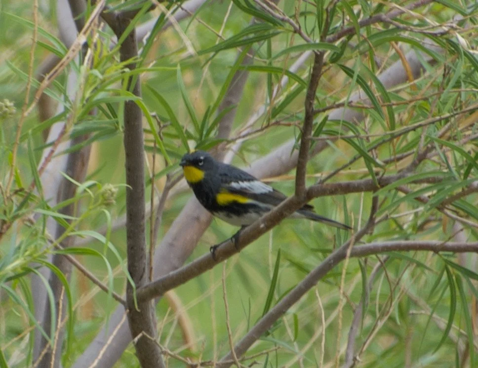 Mr.AUWA_Pabco_20210426 - 3.jpeg