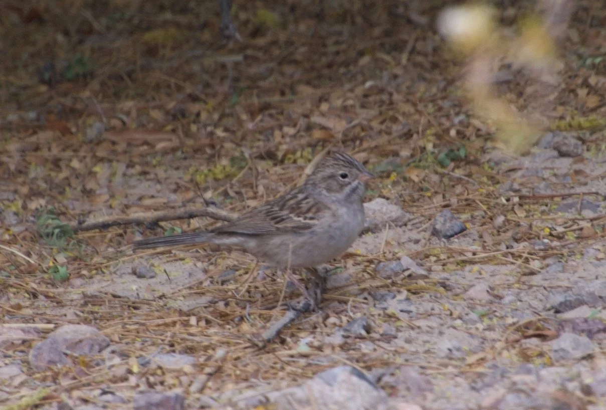 BRSP_Pabco_20210426 - 2.jpeg