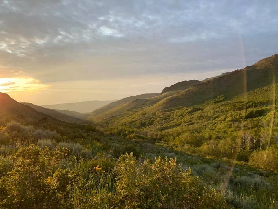 Sunrise in the Santa Rosa Mts..jpg