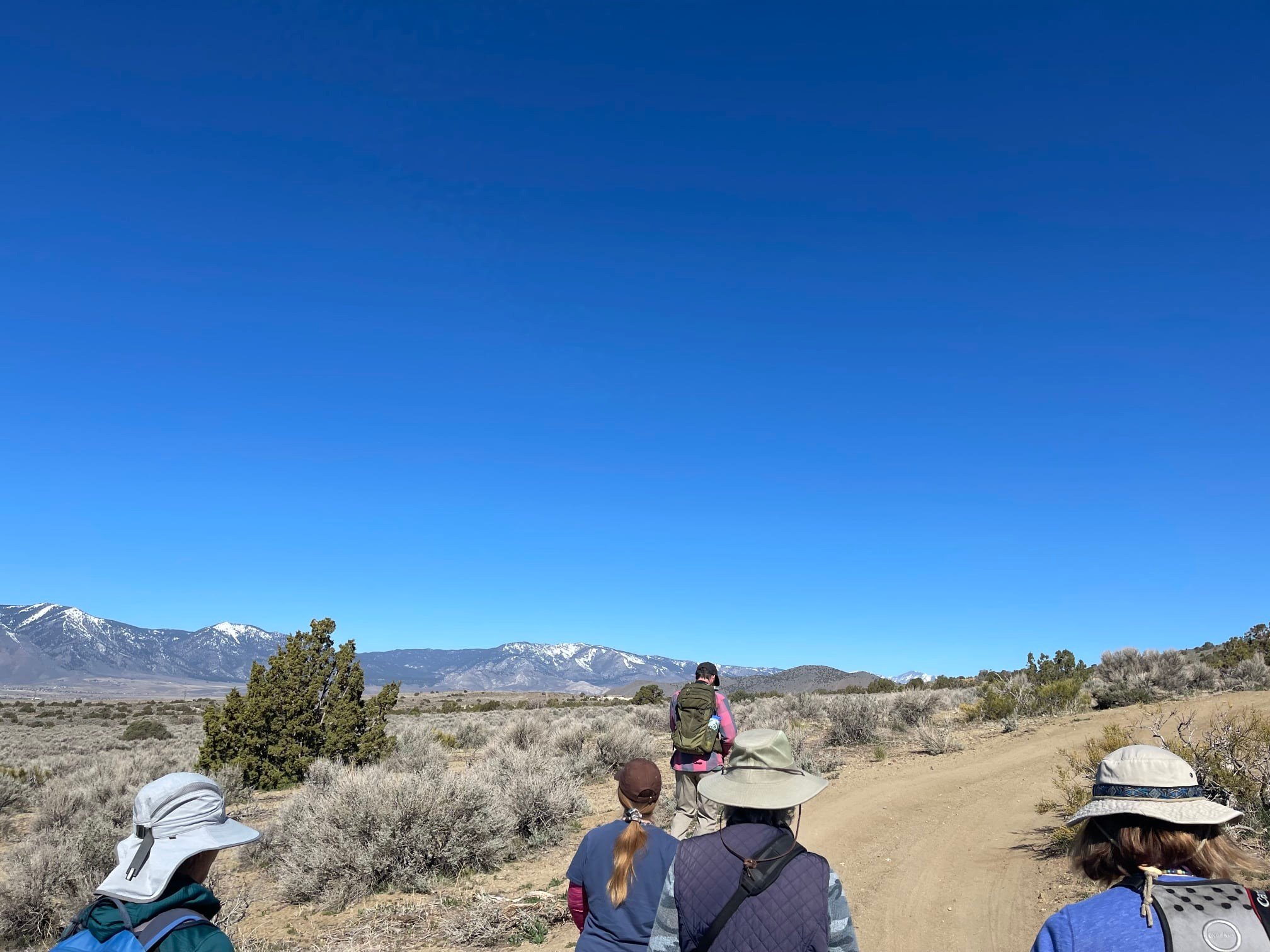 Volunteer training in the Pine Nut Mountains with Lahontan Audubon Society