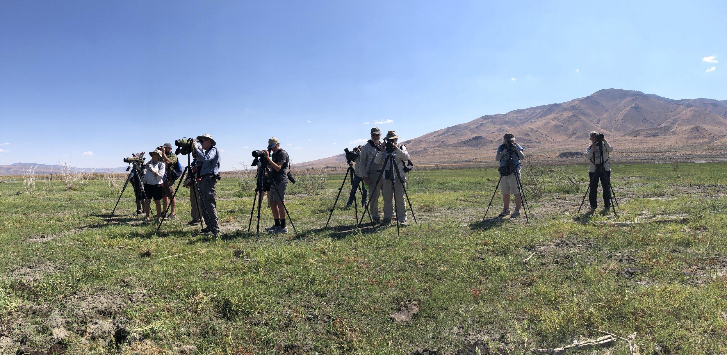 Most of the participants on the Pyramid Lake field trip braved the hike out to the Truckee River Delta to enjoy a variety of shorebirds - photo by Lauren Harter.jpg