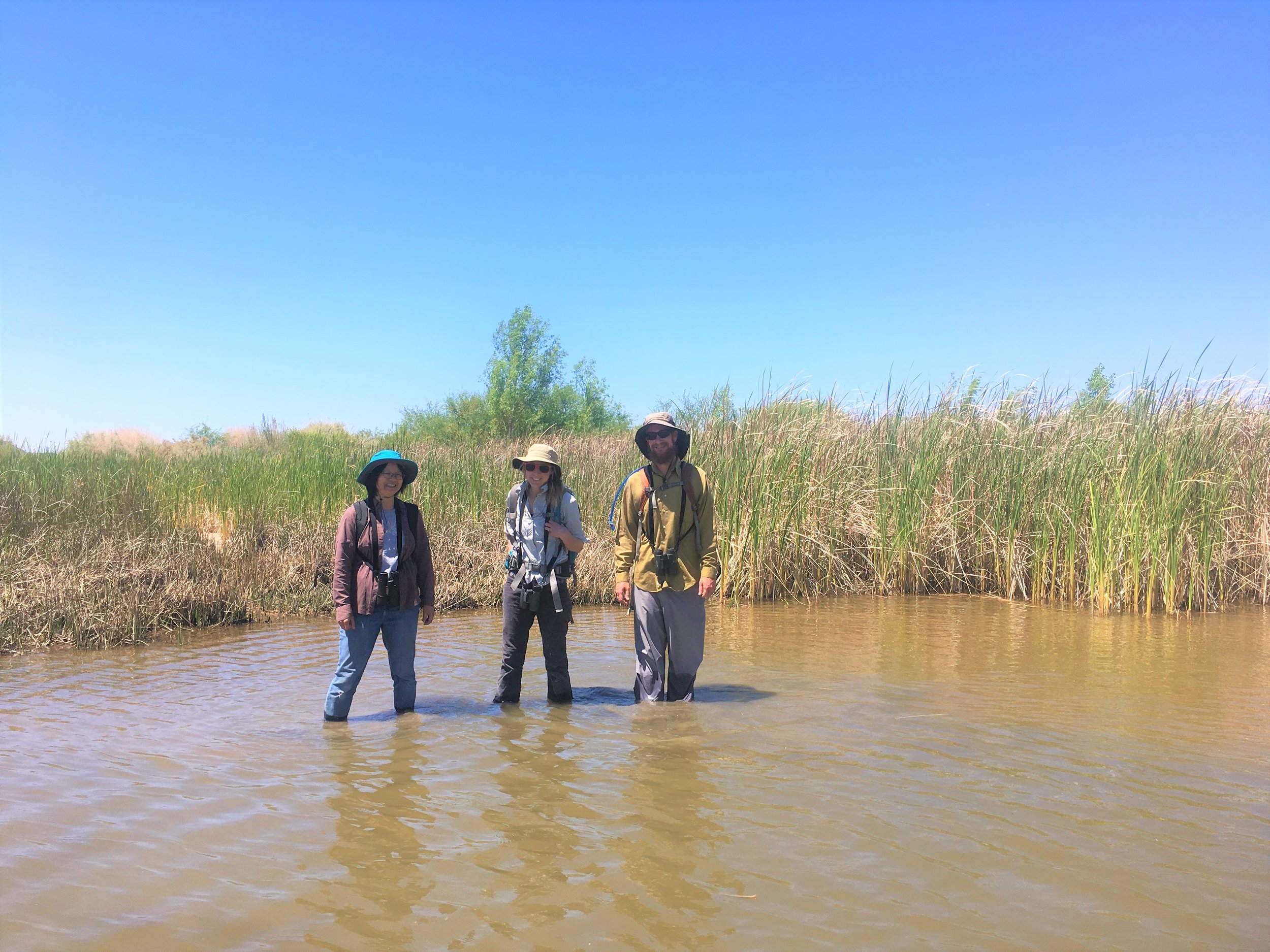 Diane Dawn and Geoff get ready to explore some marsh at Laguna Division Conservation Area.jpg