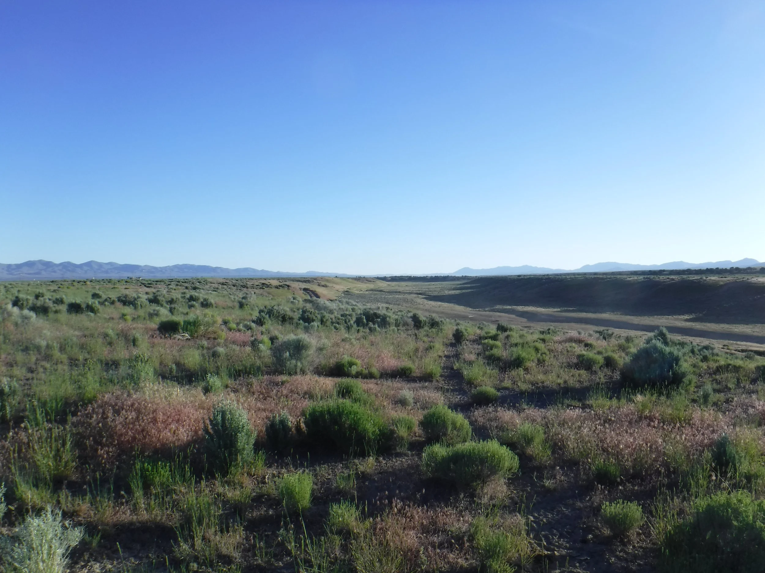 SG-2019Henderson Control#8c,EGaylord,20190623.JPG