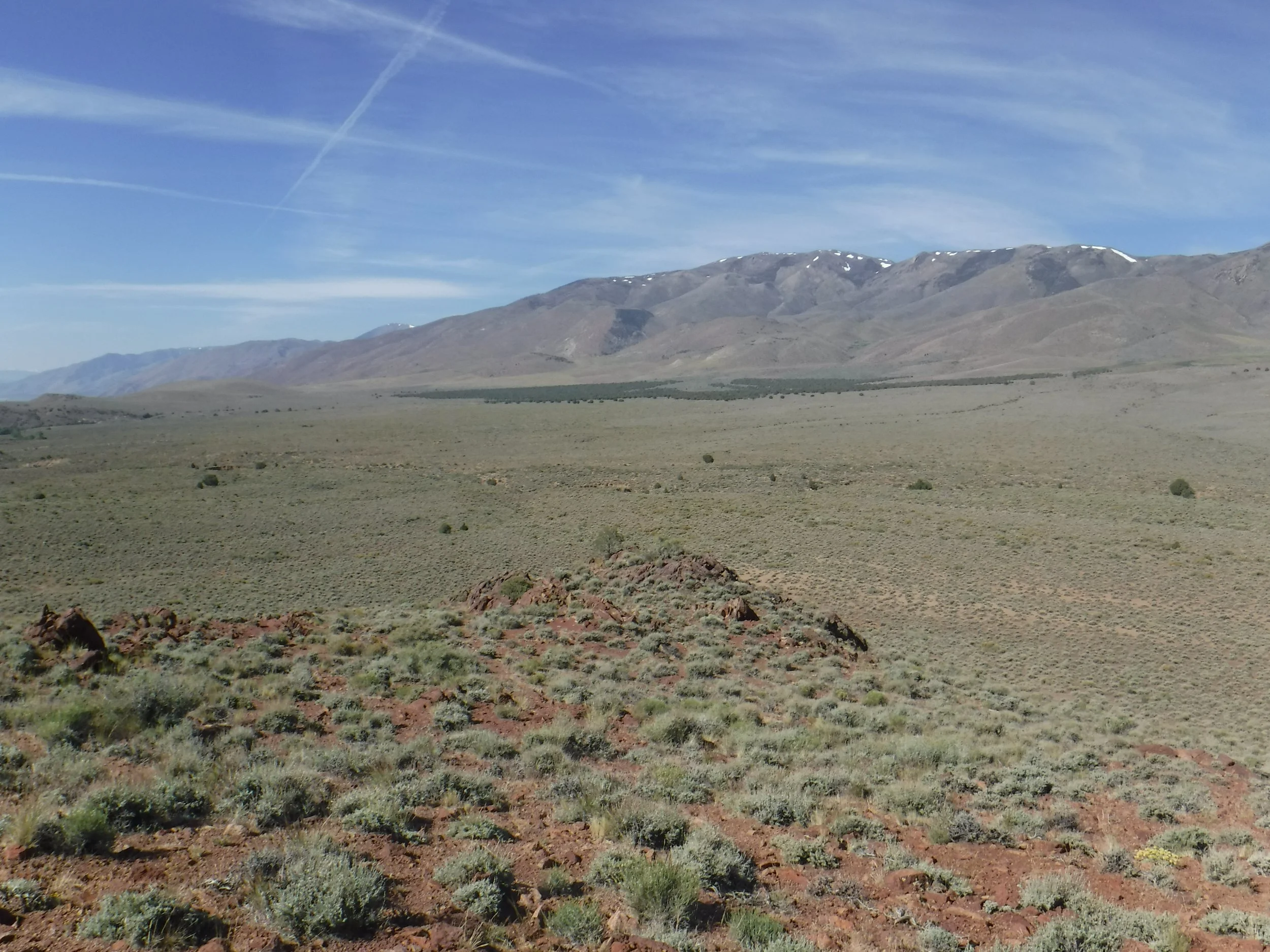 PJ-BuckSkin Run/ Photo: E. Gaylord