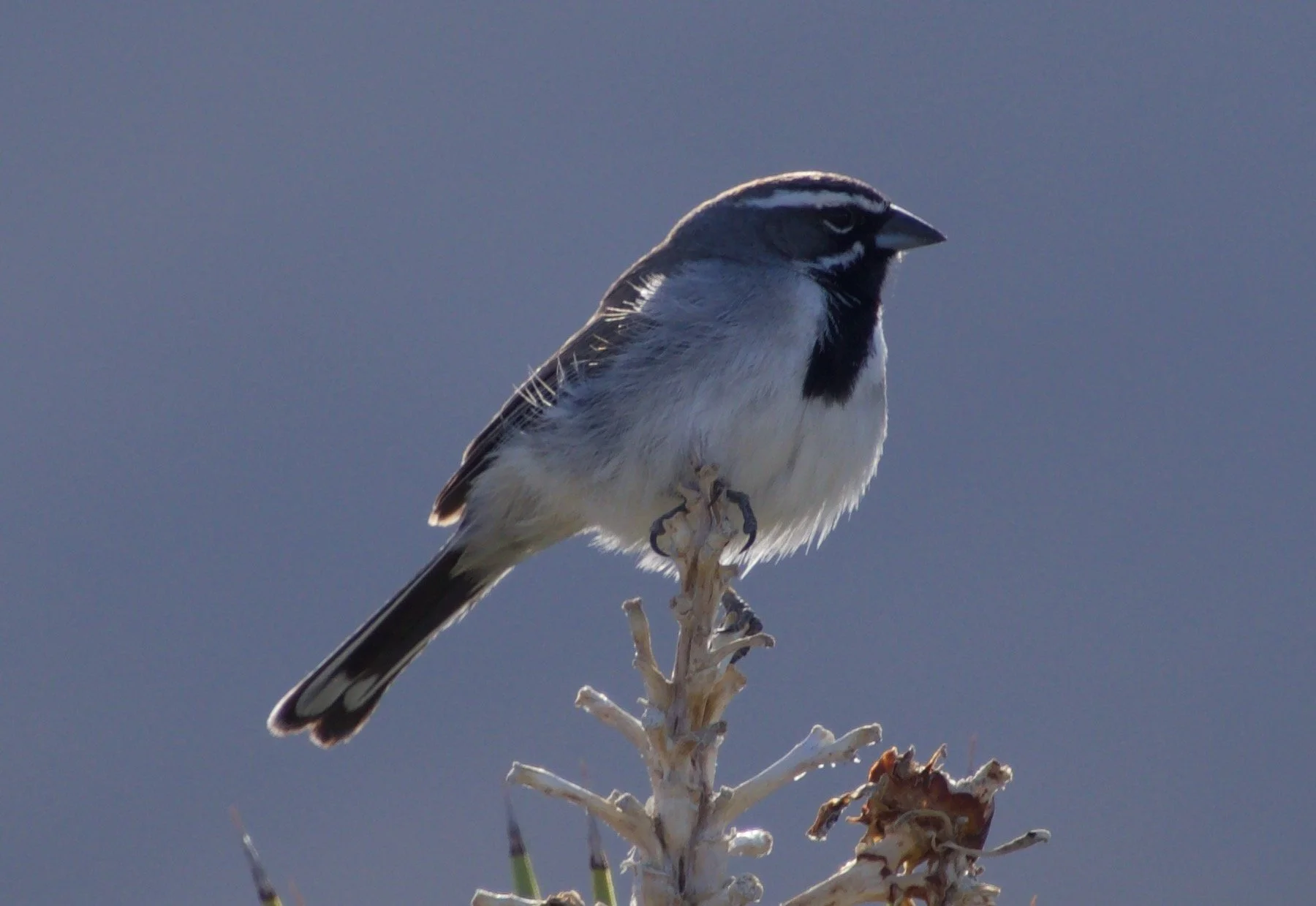 BTSP_TikabooValley_20220426 - 6.jpeg