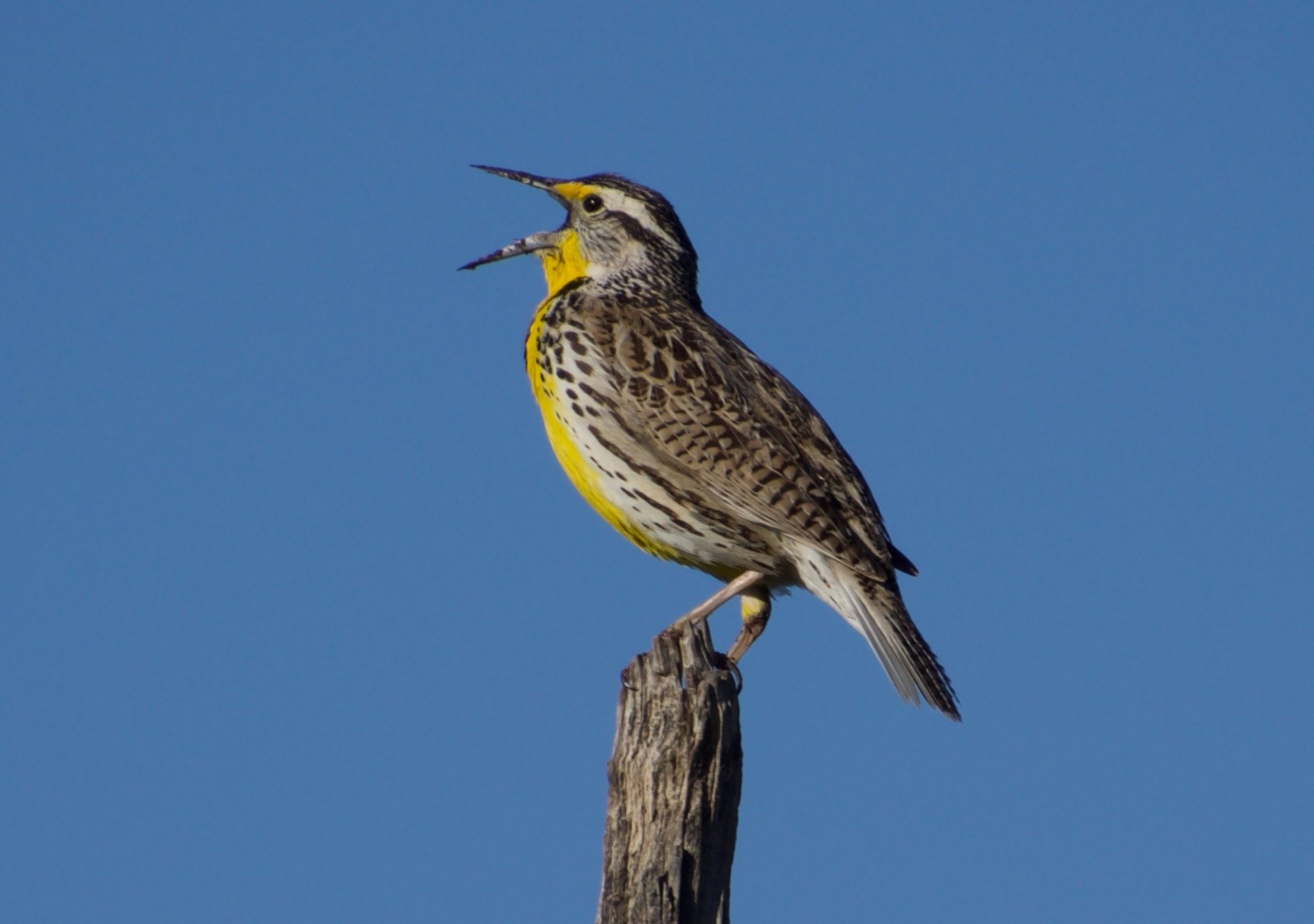 WEME_TwelveMileSprings_20220504 - 4.jpeg