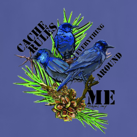 cache+rules+closeup.png