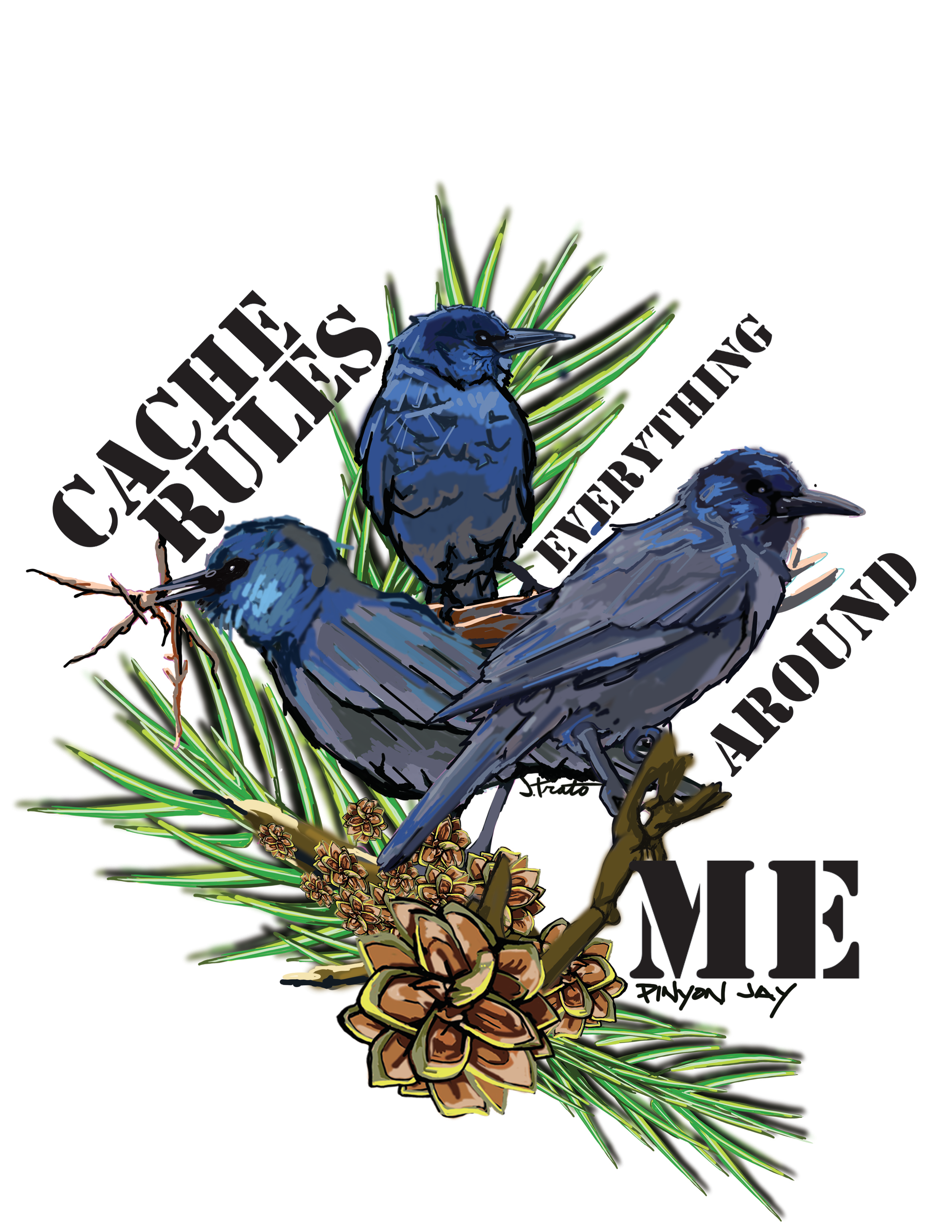 CacheRulesEverythingAroundMe_Graphic_JasonTrato_20240725.png