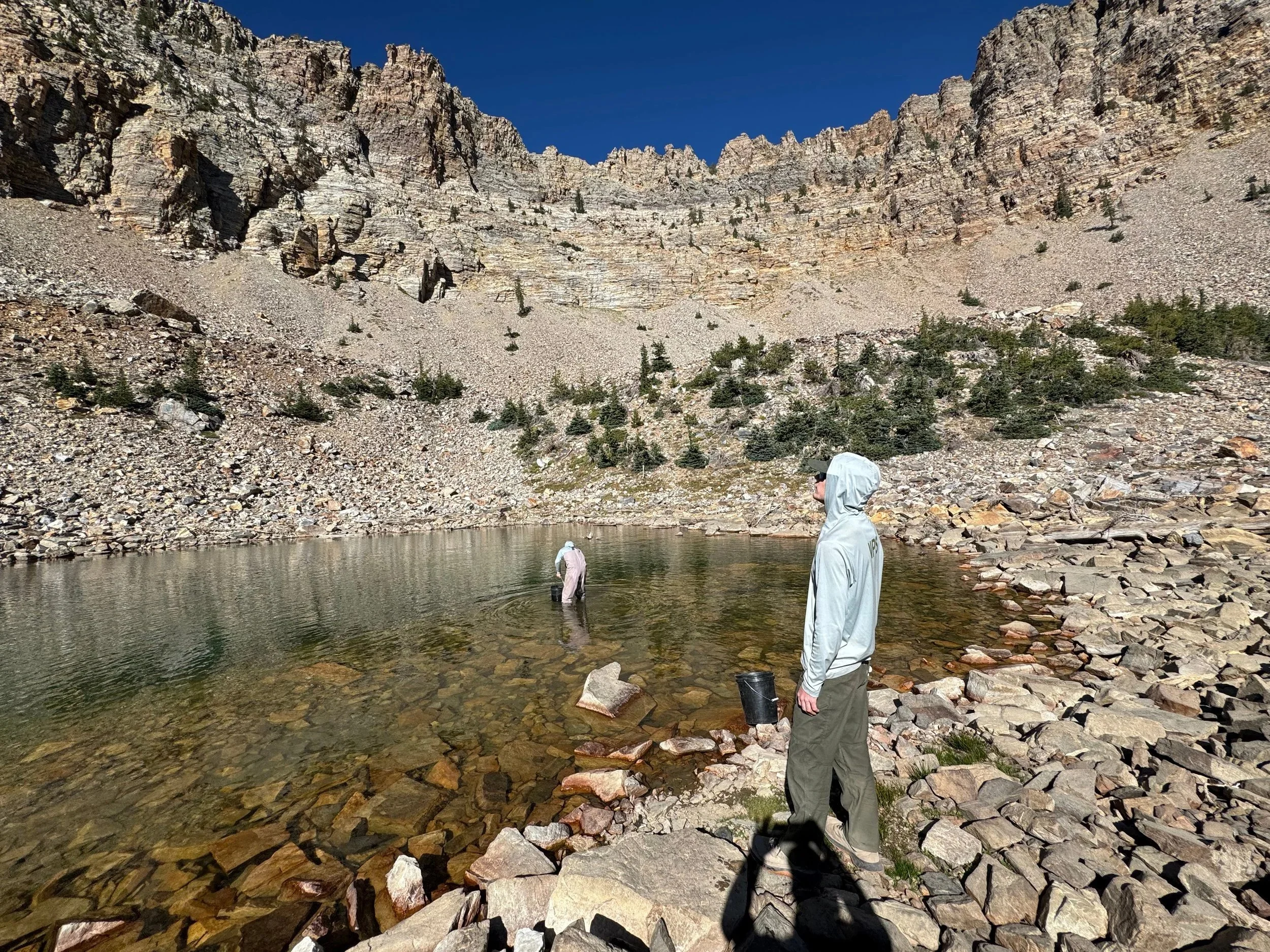 Trout habitat restoration