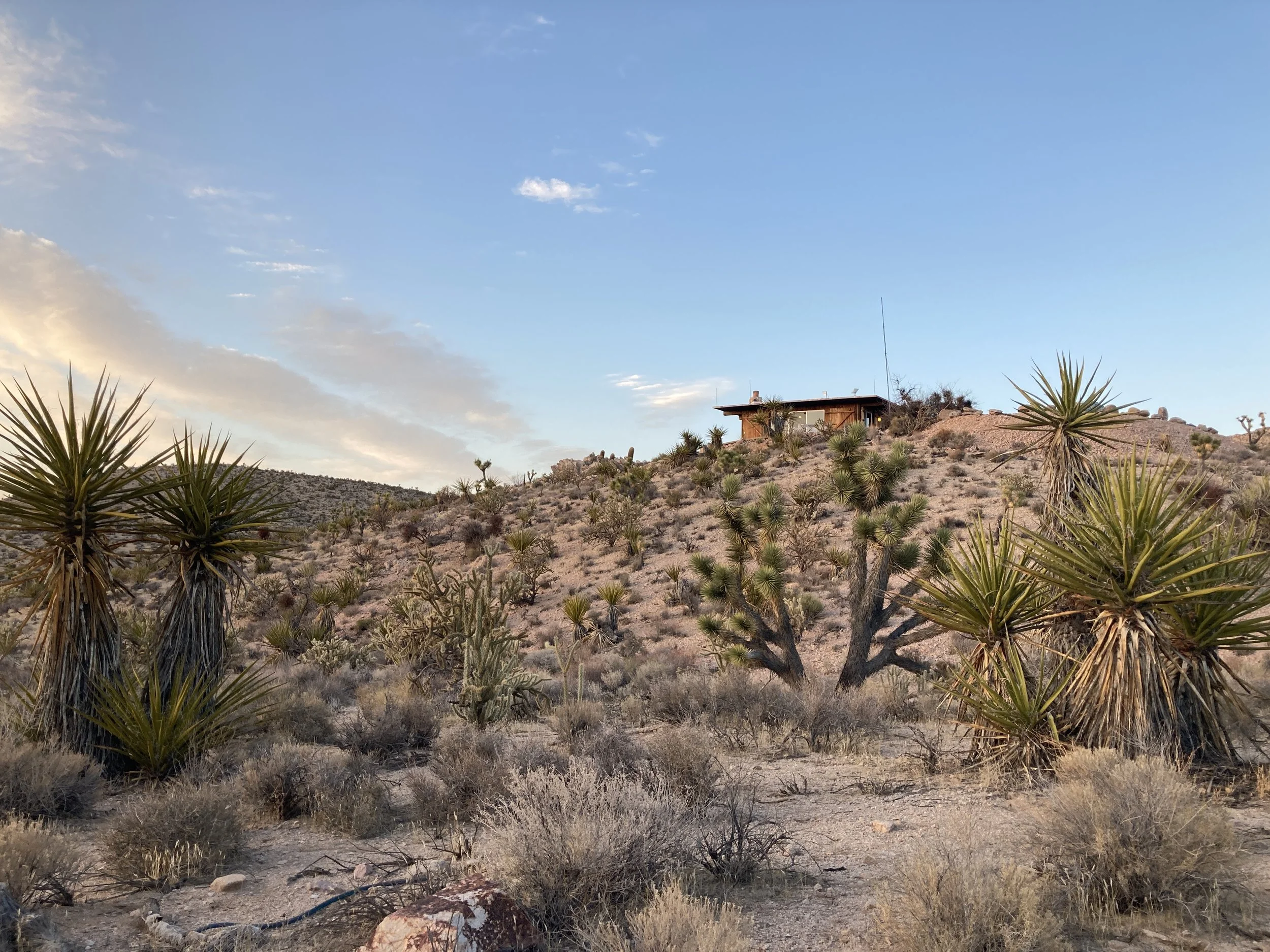 Avi Kwa Ame scenery by Lauren Harter