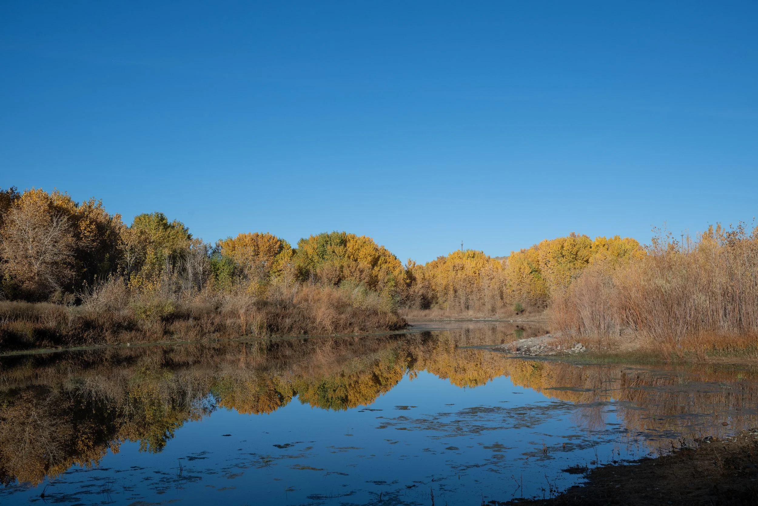 102 Ranch_20251101_Truckee River, NV.jpg
