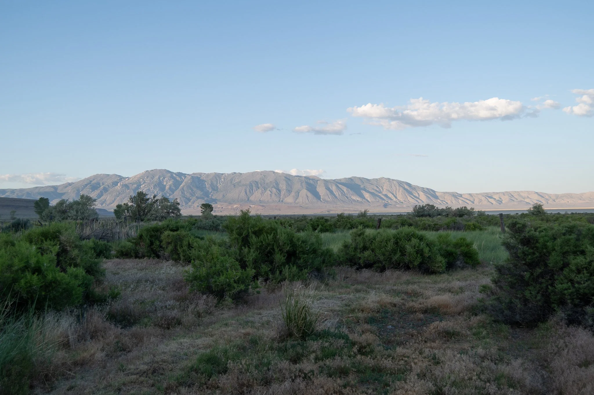 Smoke Creek Desert_20250523_Parker Ranch, NV-1.jpg