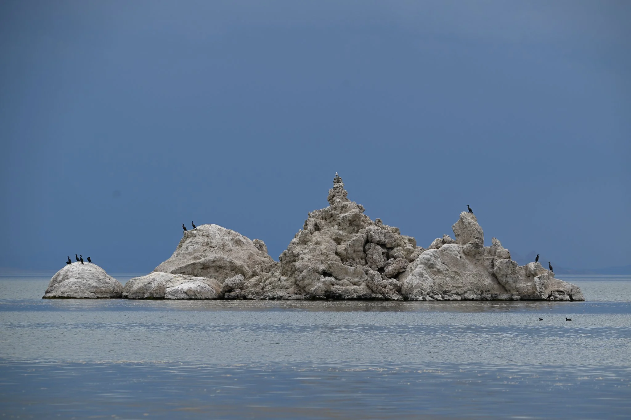 Tufa with Cormorants and gull_20250503_Pyramid Lake, NV.jpg