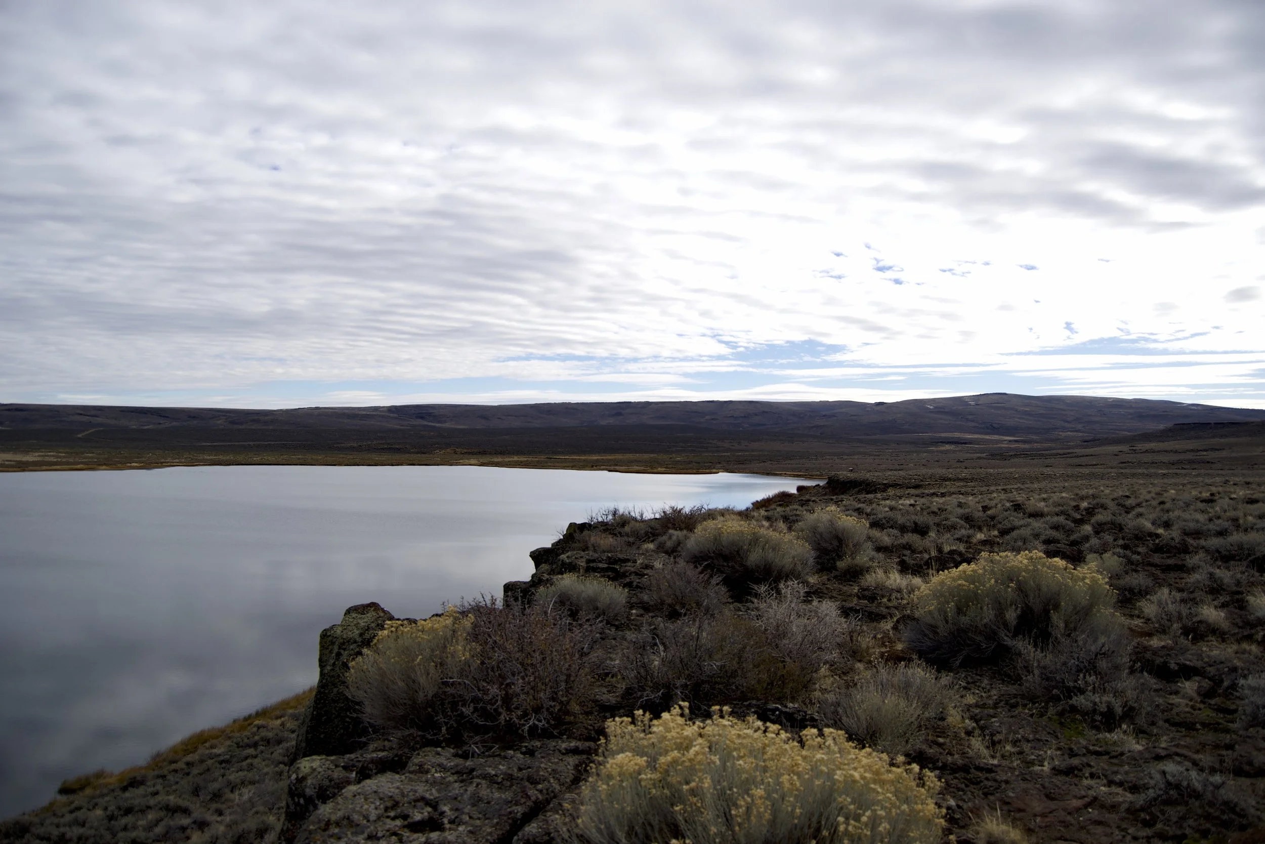 Catnip Reservoir, Sheldon NWR, NV_20241110-16.jpg