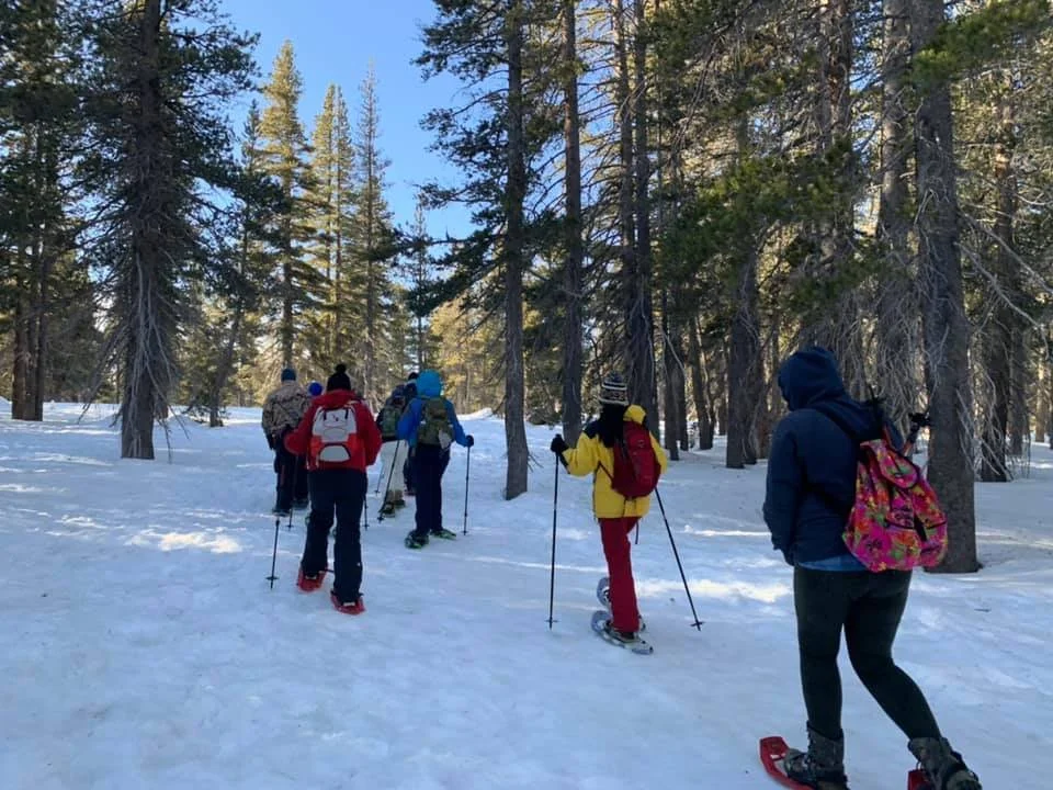 Snowshoe birding trip to Chickadee Ridge