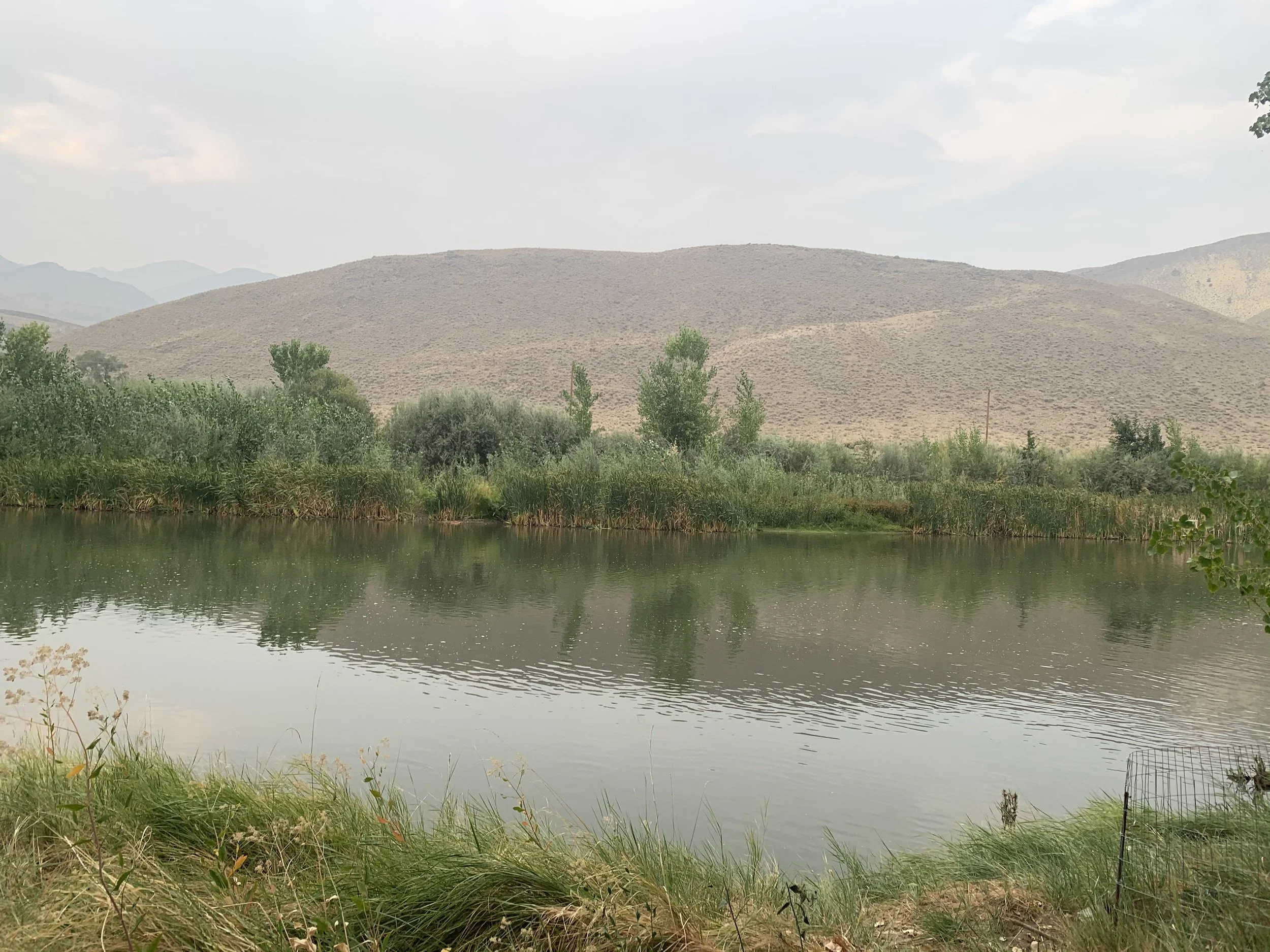 River 092020.jpg