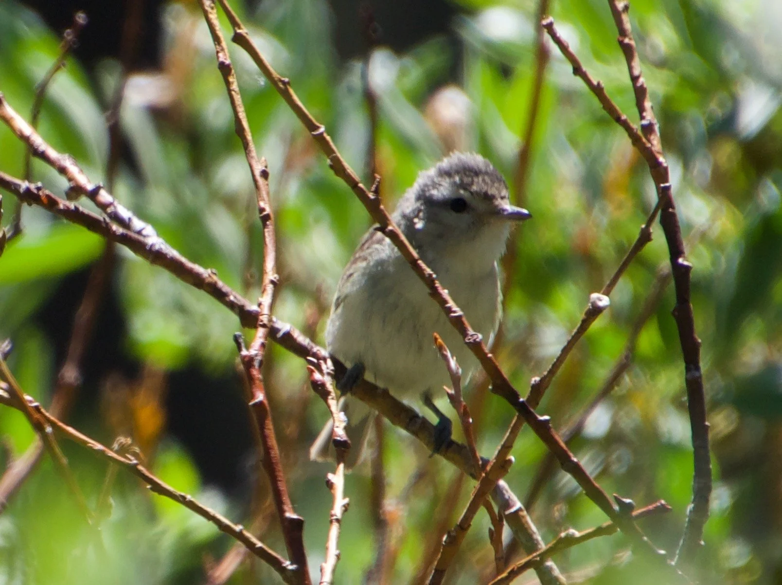 WAVI_TamarackLake_20220710 - 1.jpeg