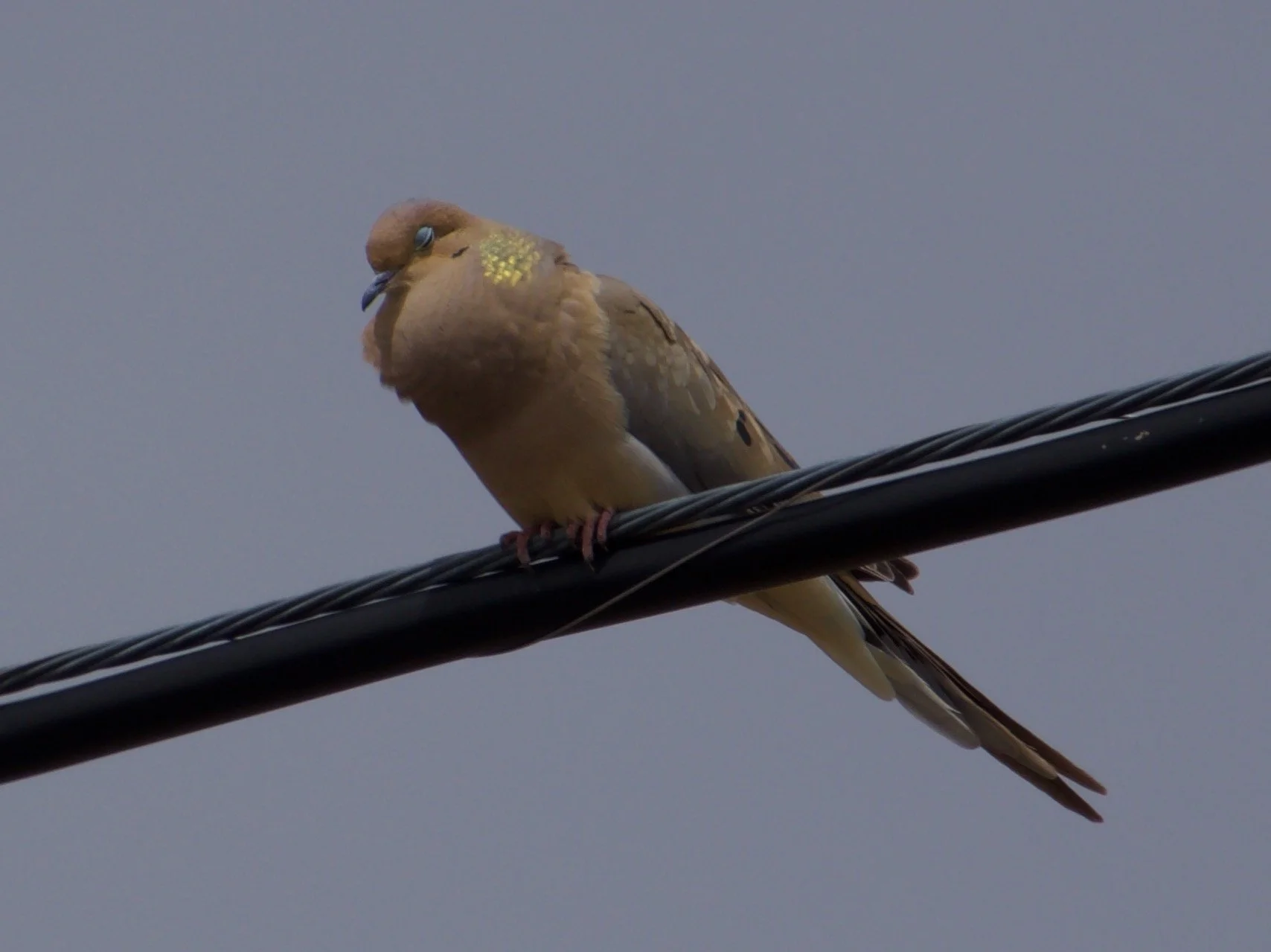 MODO_MogulBridge_20220512 - 4.jpeg