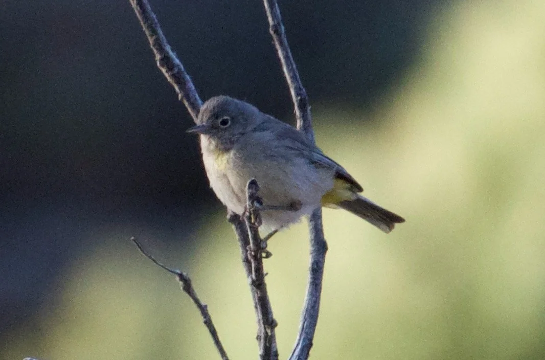 VIWA_ClarkCanyon_20220521 - 5.jpeg