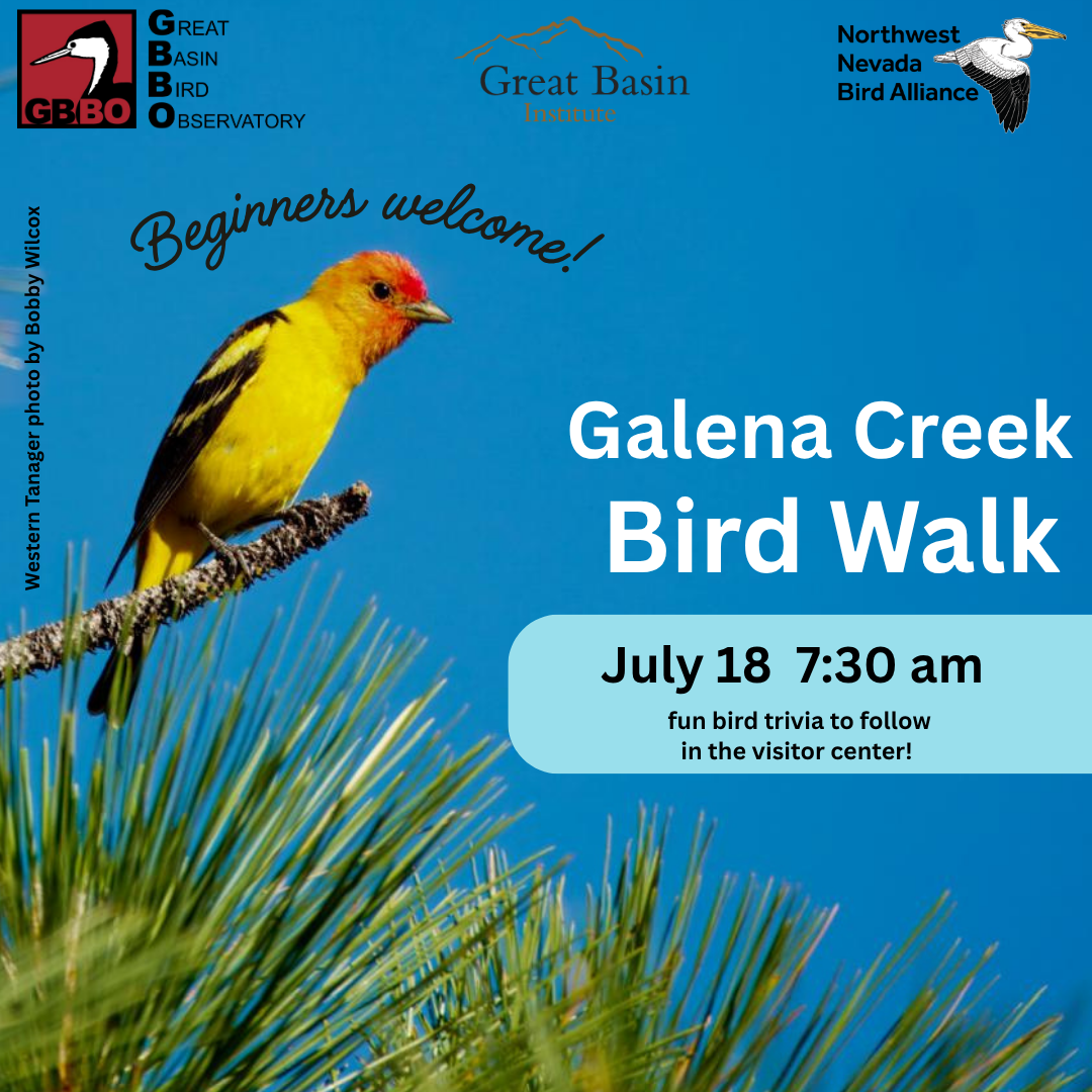 July 18 Galena Creek Summer IG post(2).png