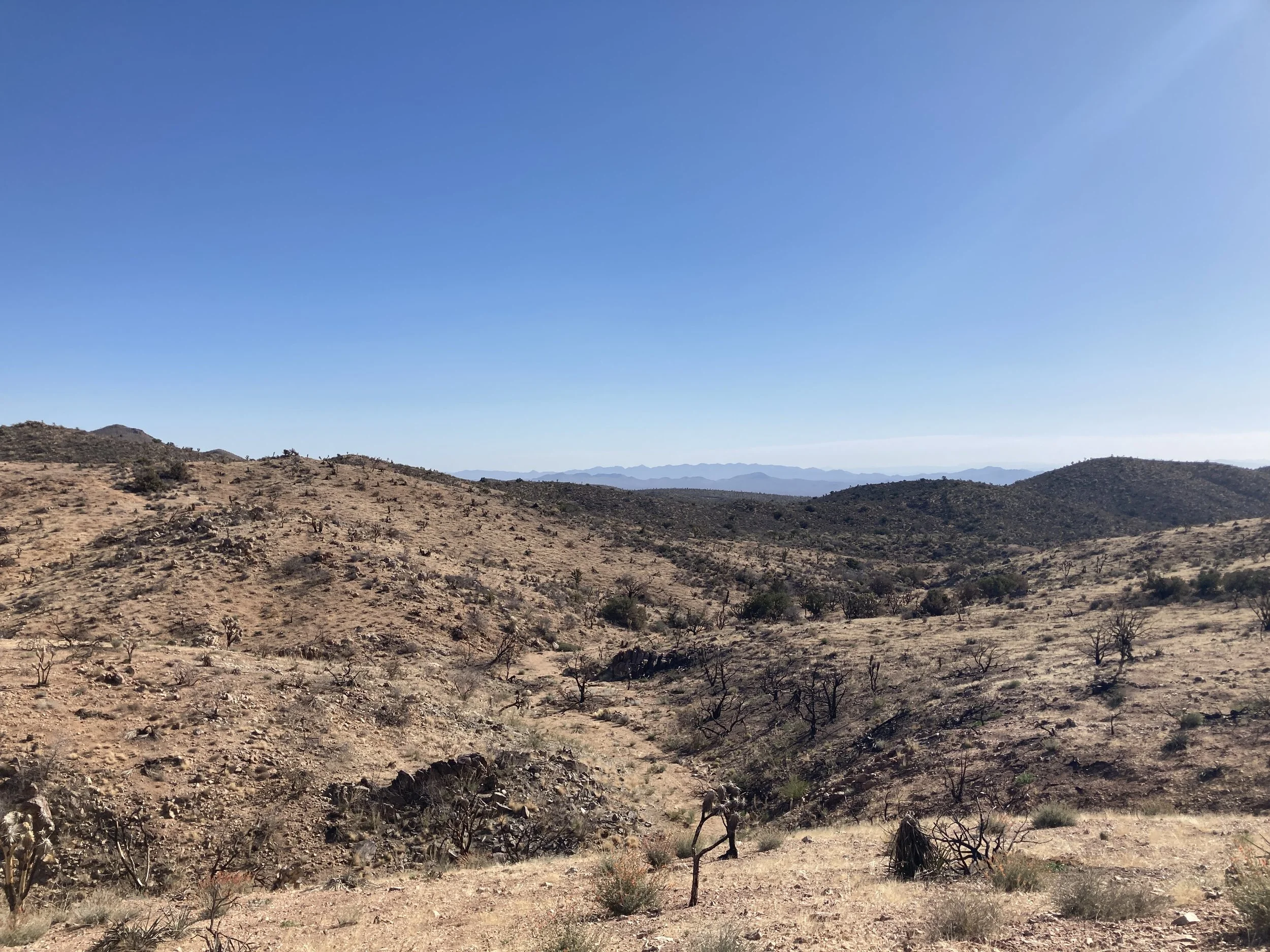 DS-BorderCorral #1_NBohman_20250425.JPG