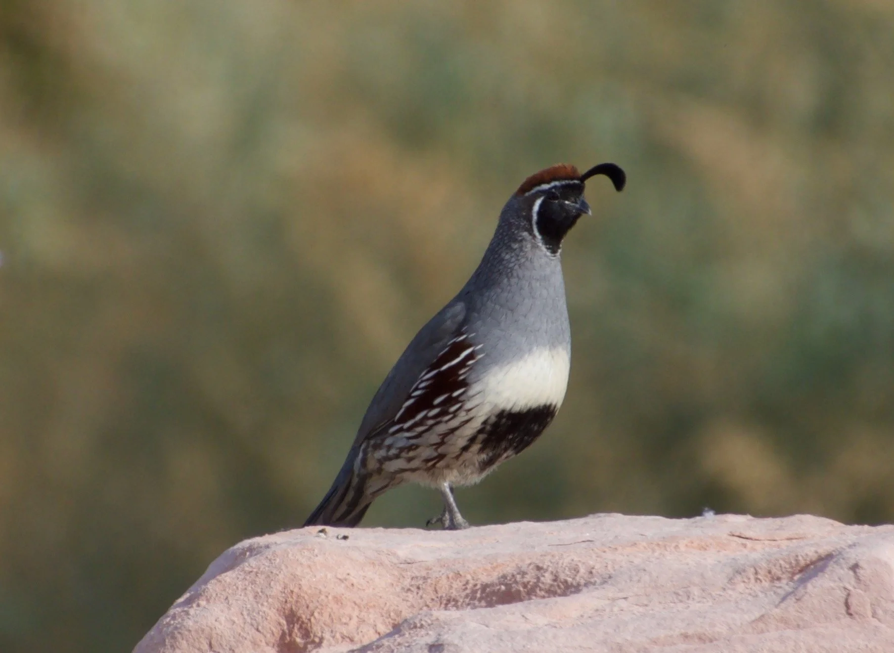 GAQU_LVW#30_20220411 - 1.jpeg