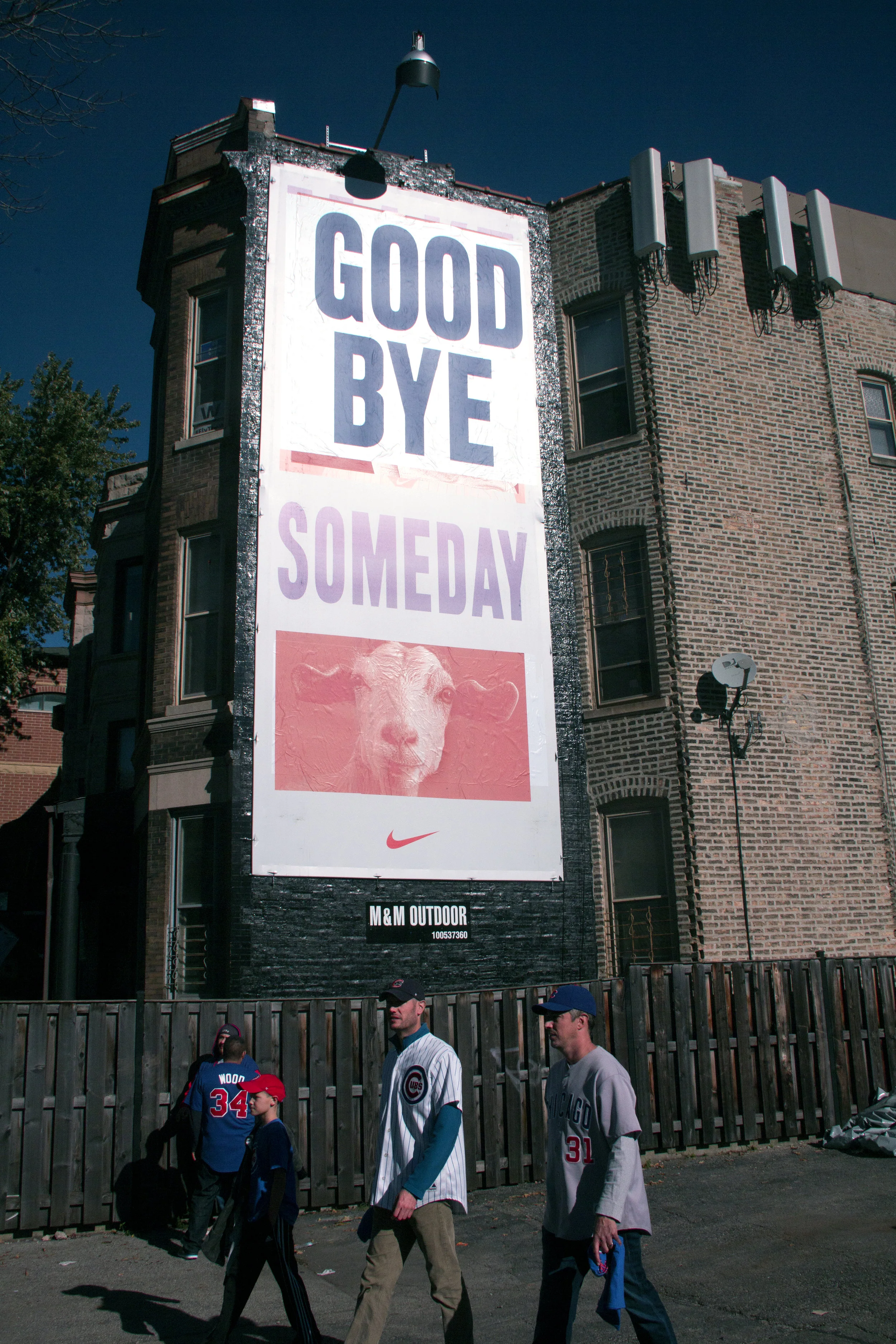 Goodbye Goat