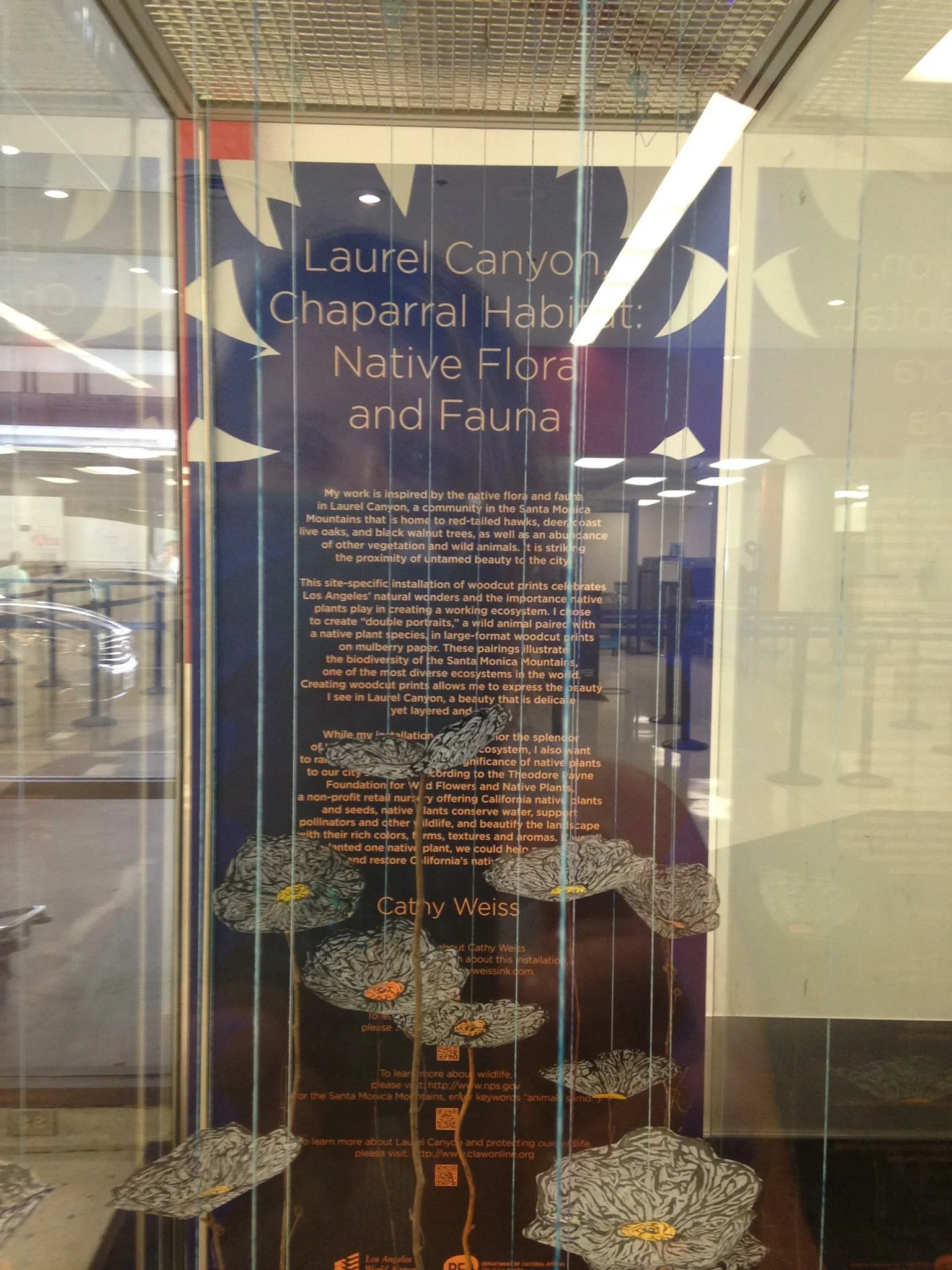 LAX Flora and Fauna of Laurel Canyon — Cathy Weiss