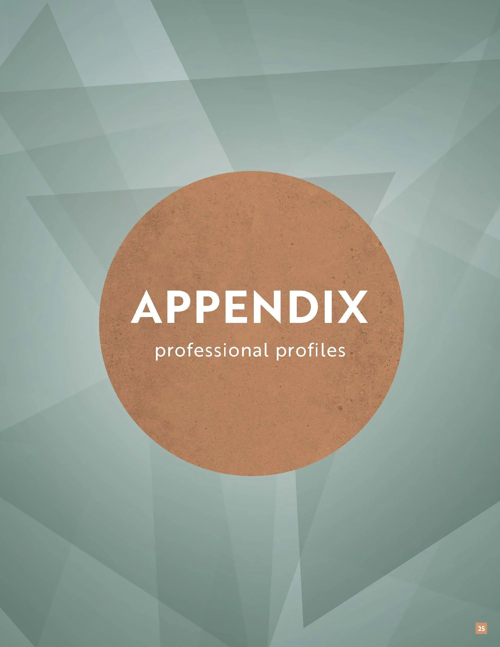 Energy Plaza Proposal-DAL-PM-Garcia 9.16.22_Page_25.jpg