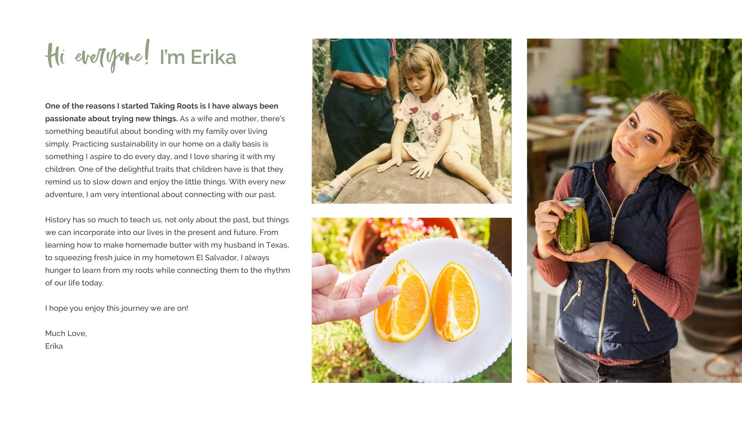 Taking Roots - Slide Show Presentation2.jpg