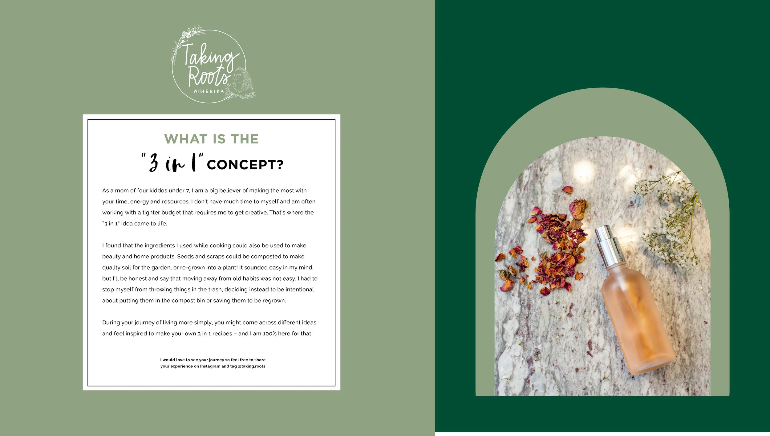 Taking Roots - Slide Show Presentation5.jpg