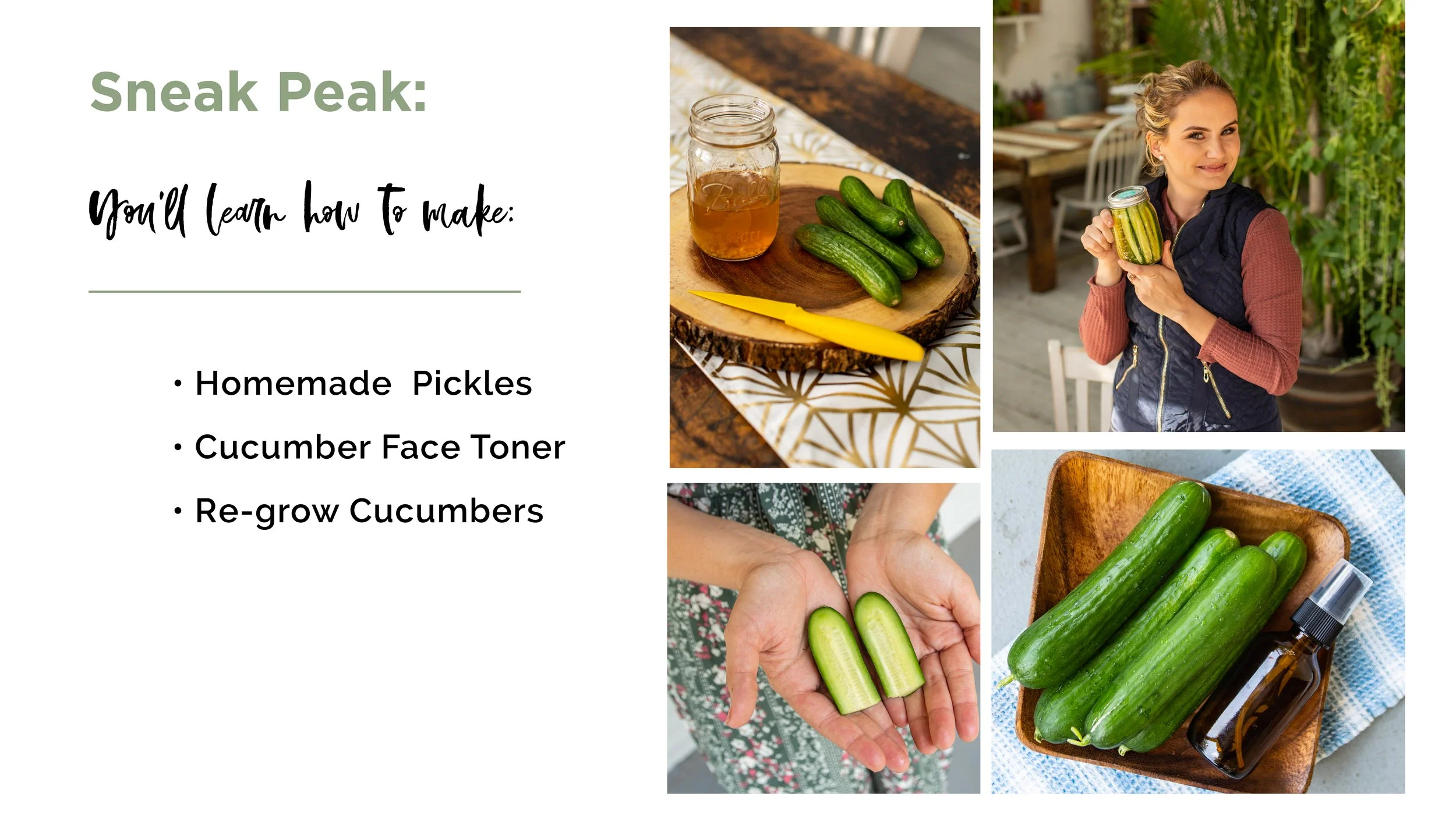 Taking Roots - Slide Show Presentation7.jpg