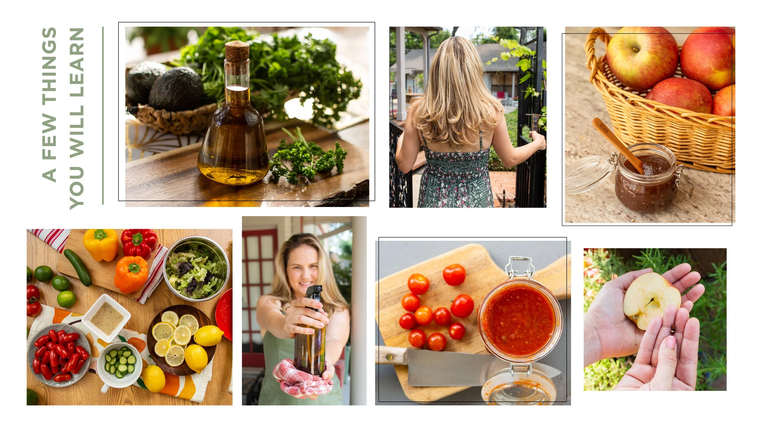 Taking Roots - Slide Show Presentation8.jpg