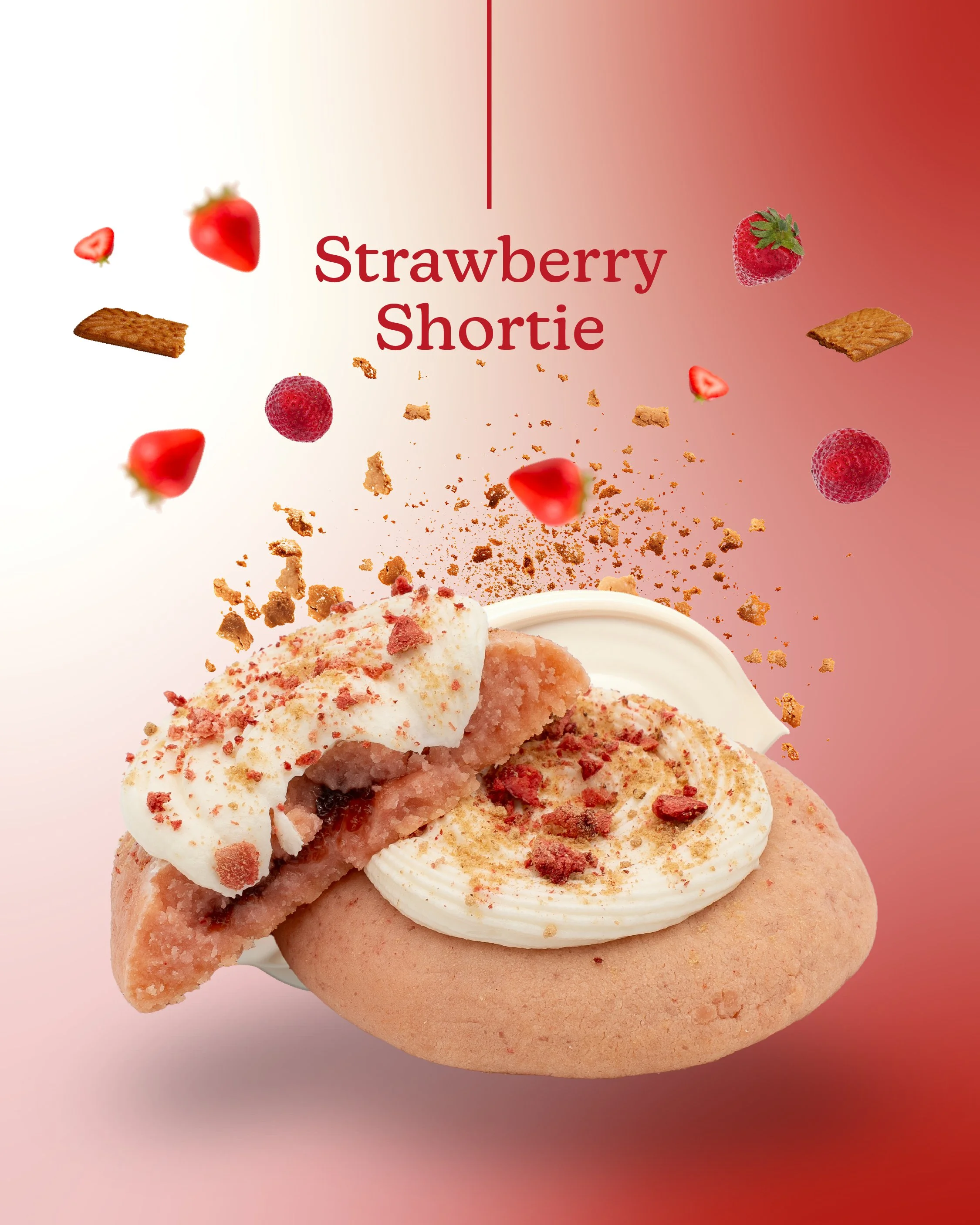 New Classic Lineup-01.jpg