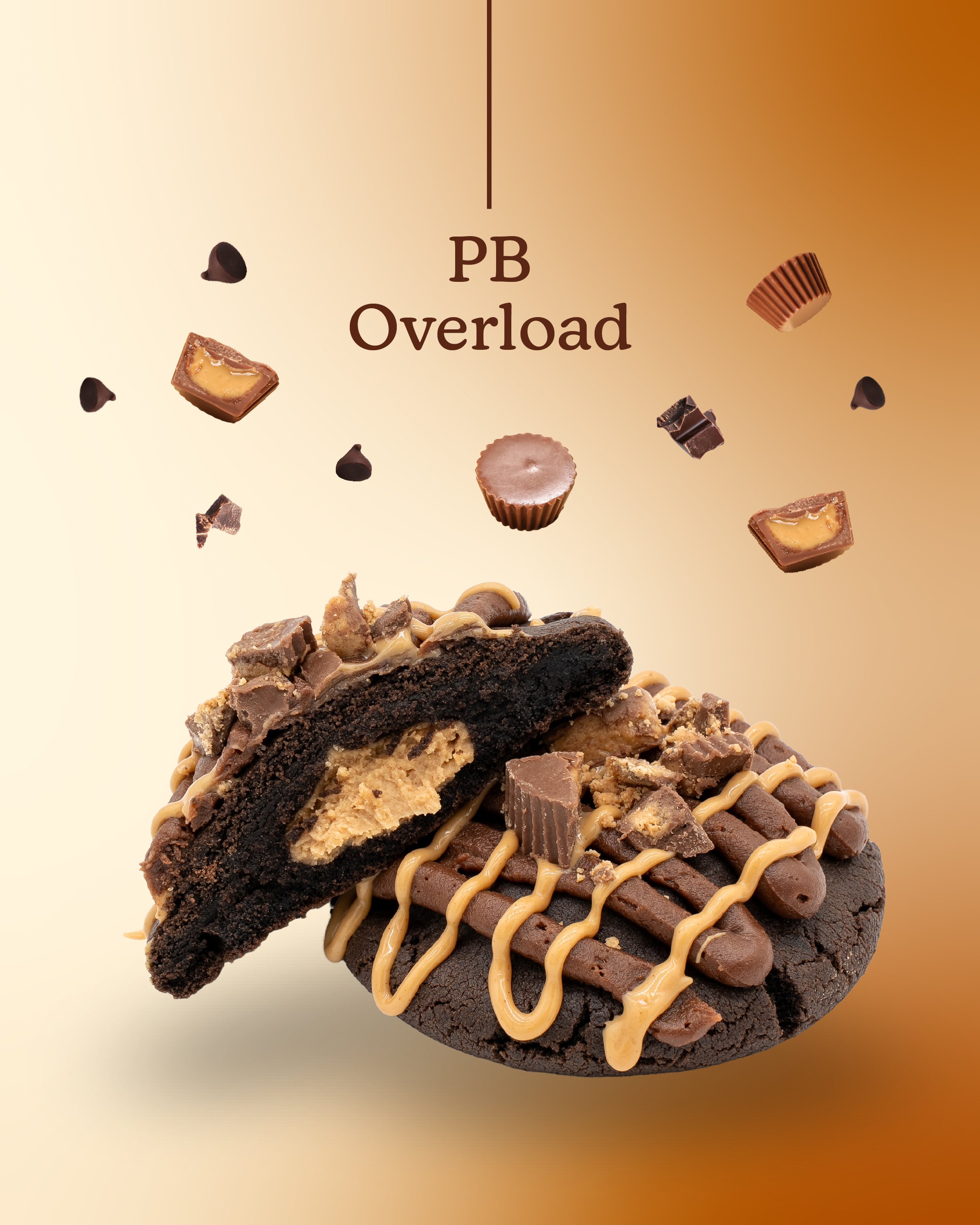 New Classic Lineup-02.jpg