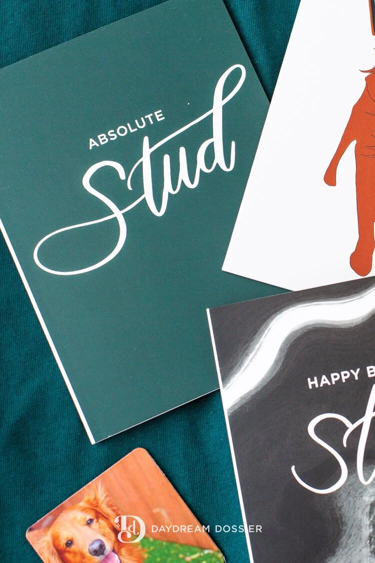 Daydream-Dossier-Absolute+stud+Card.jpg