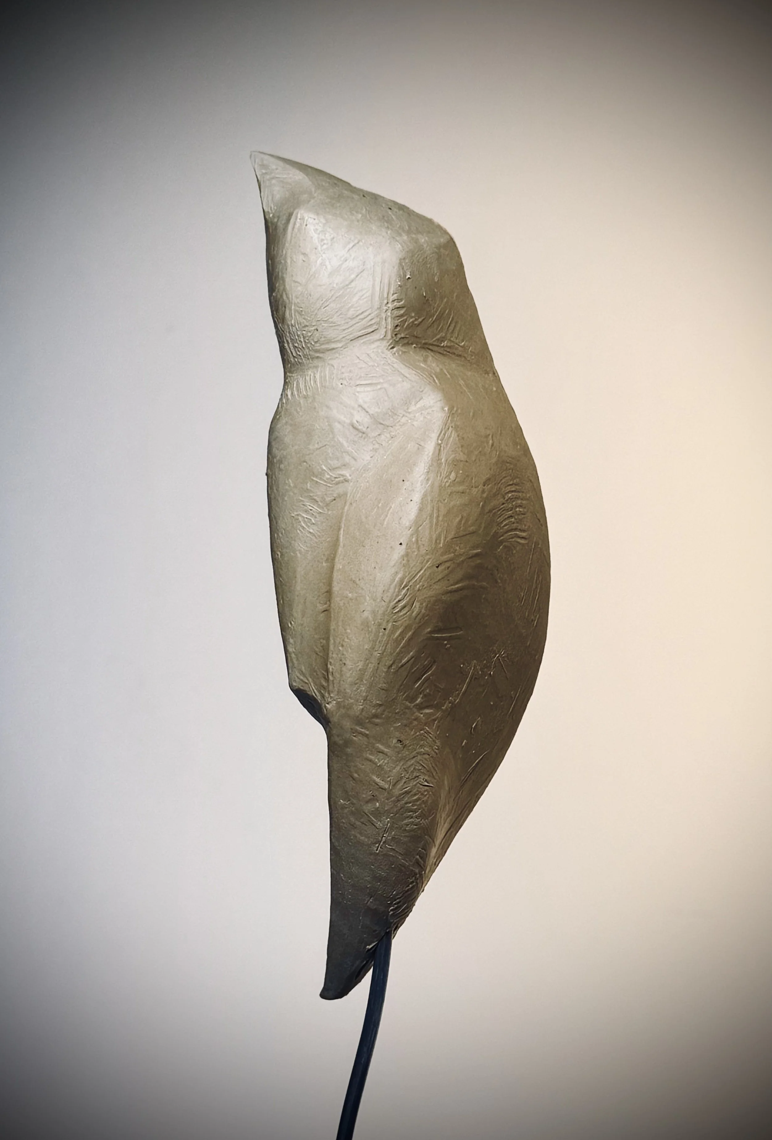 Chrysalis front.2.jpg