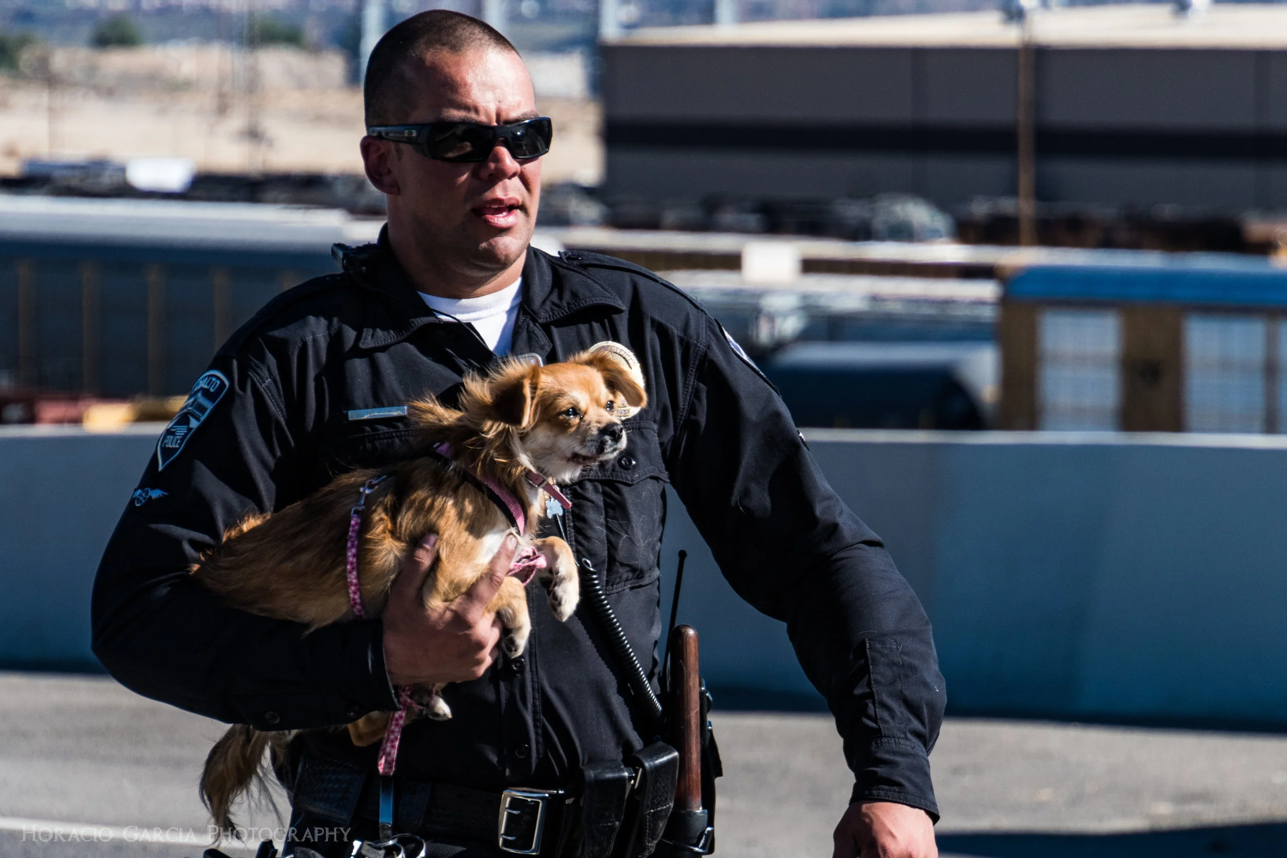 Rescued from the wreckage of an accident where 5 lives were lost after a concrete truck drove through the center divider into oncoming traffic, Officer Sean Mooney of Rialto P.D. takes a small dog to a nearby Animal Control truck. The dog was eventually returned to surviving family members of 2 of the victims of the crash.