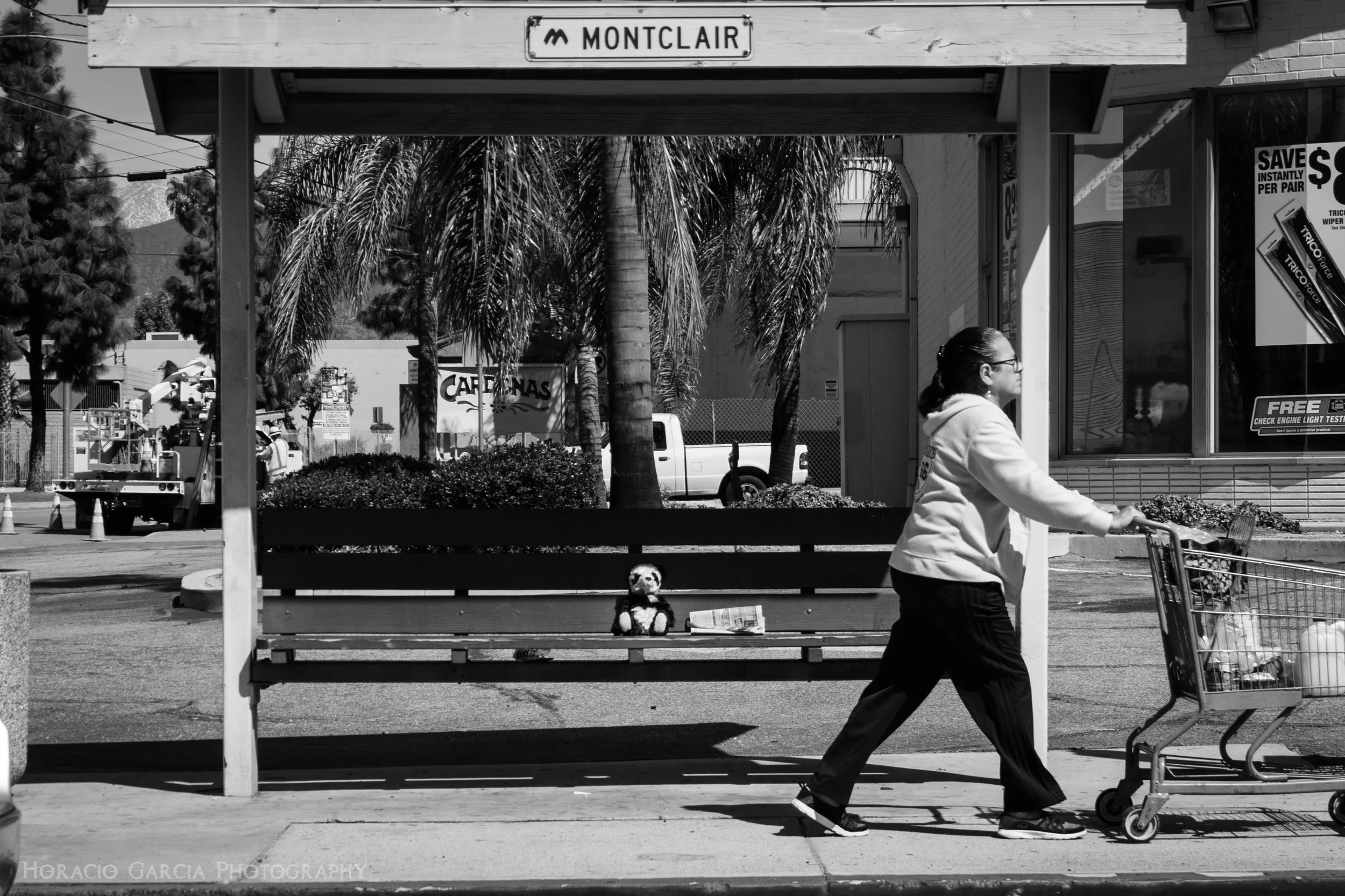 Inexplicably left alone, a rugged stuffed bear sits at a bus stop in Montclair, CA