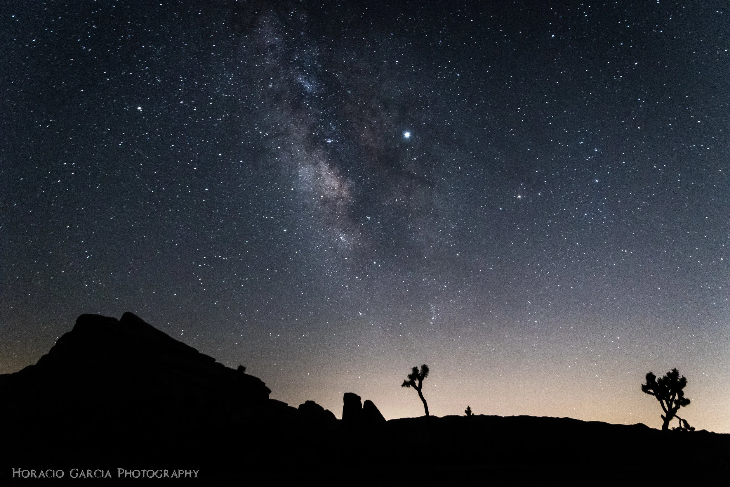 Joshua Tree