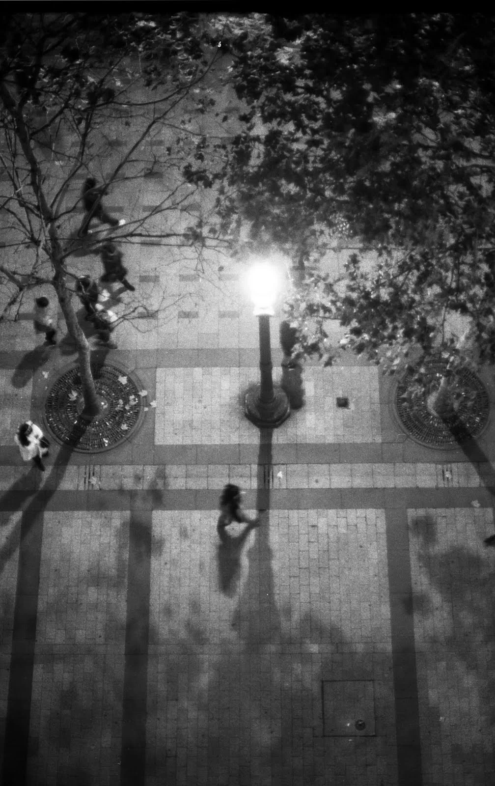   Paris  2010 